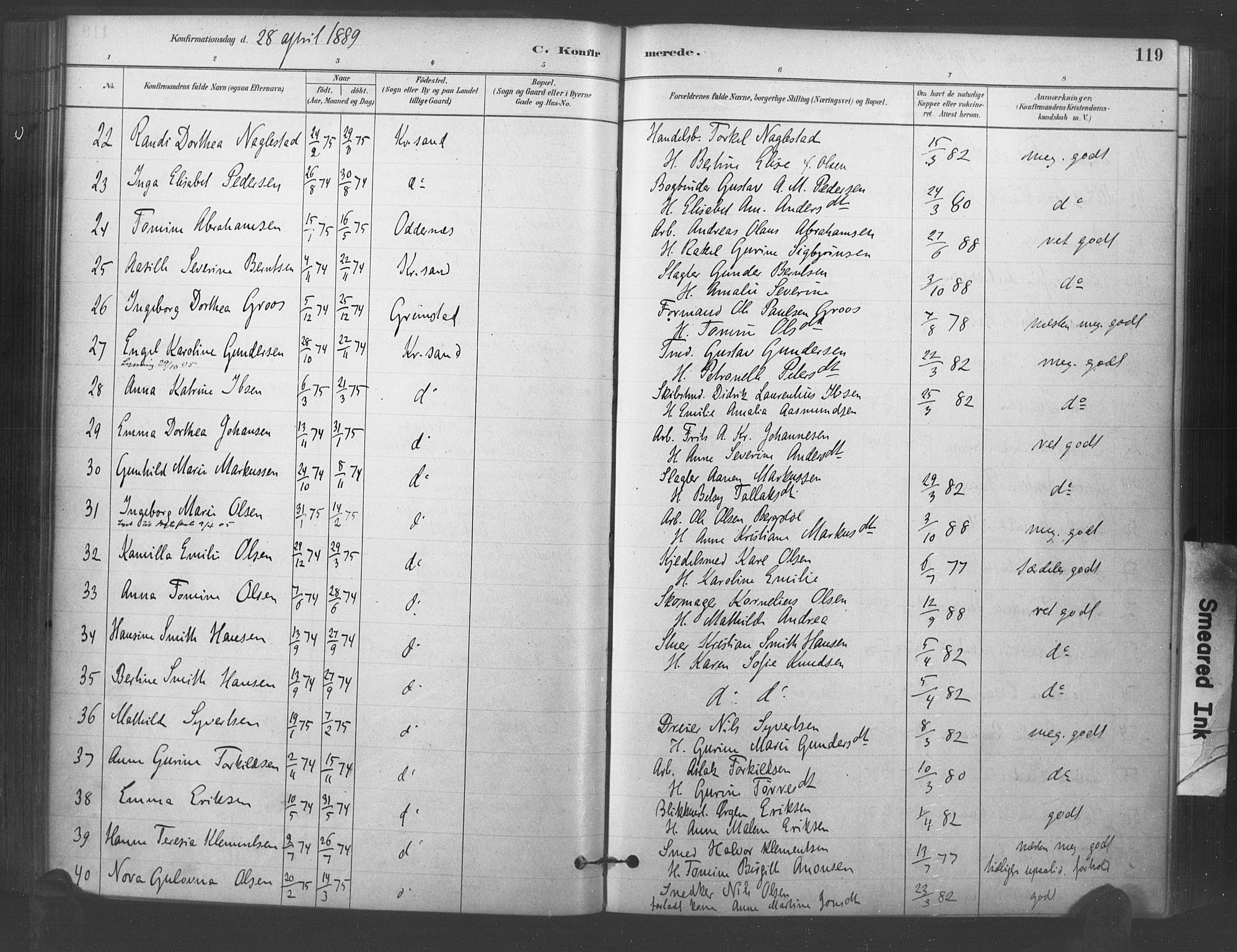 Kristiansand domprosti, AV/SAK-1112-0006/F/Fa/L0018: Parish register (official) no. A 17, 1880-1892, p. 119