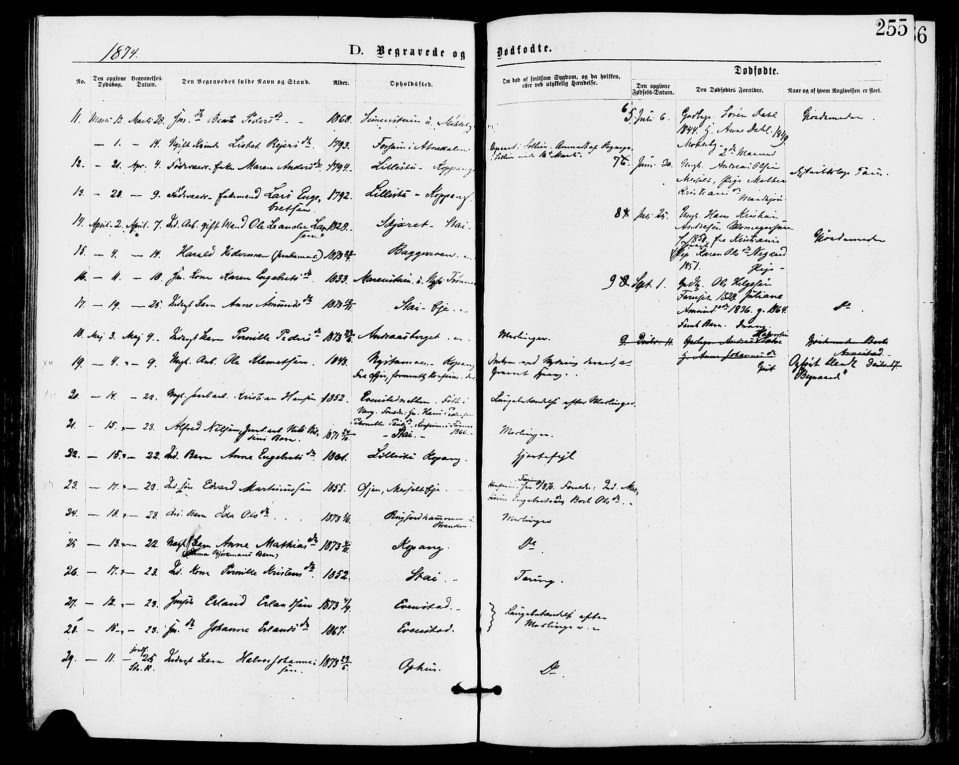 Stor-Elvdal prestekontor, SAH/PREST-052/H/Ha/Haa/L0001: Parish register (official) no. 1, 1871-1882, p. 255