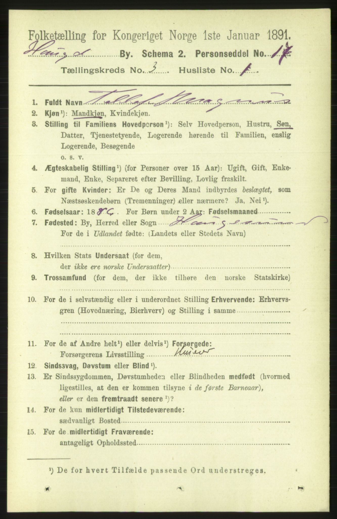 RA, 1891 census for 1106 Haugesund, 1891, p. 1058