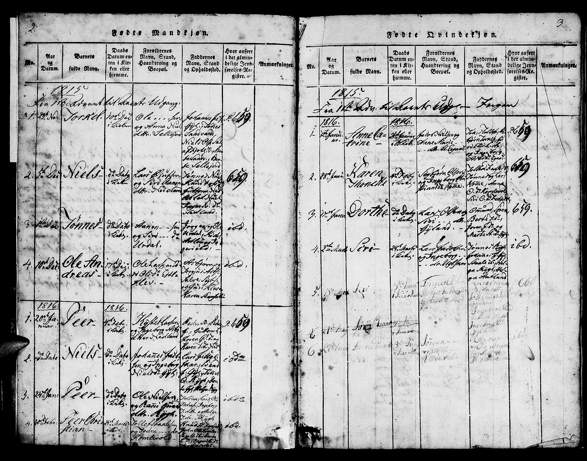 Bakke sokneprestkontor, SAK/1111-0002/F/Fb/Fbb/L0001: Parish register (copy) no. B 1, 1815-1835, p. 2-3