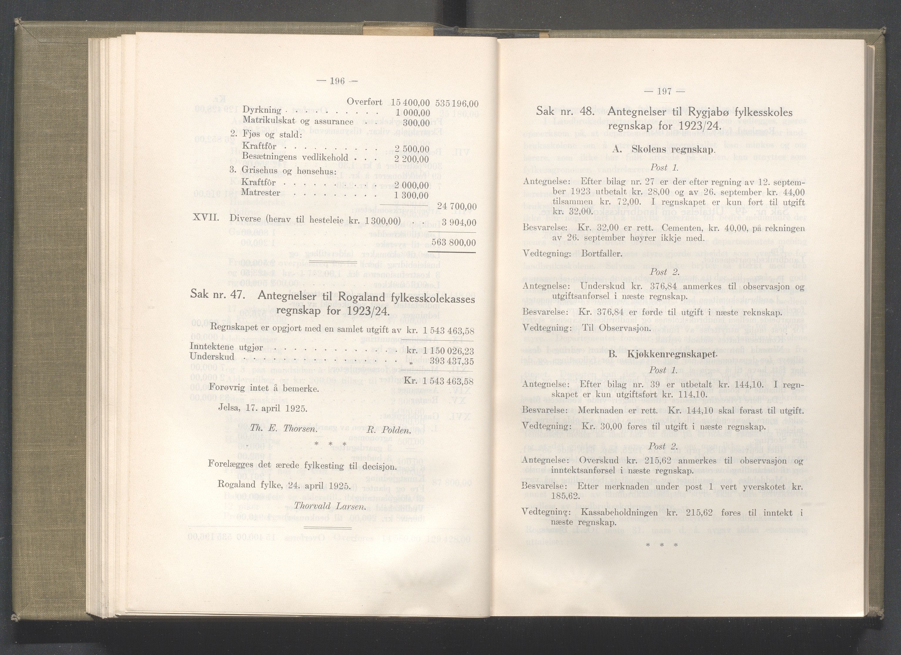 Rogaland fylkeskommune - Fylkesrådmannen , IKAR/A-900/A/Aa/Aaa/L0044: Møtebok , 1925, p. 196-197