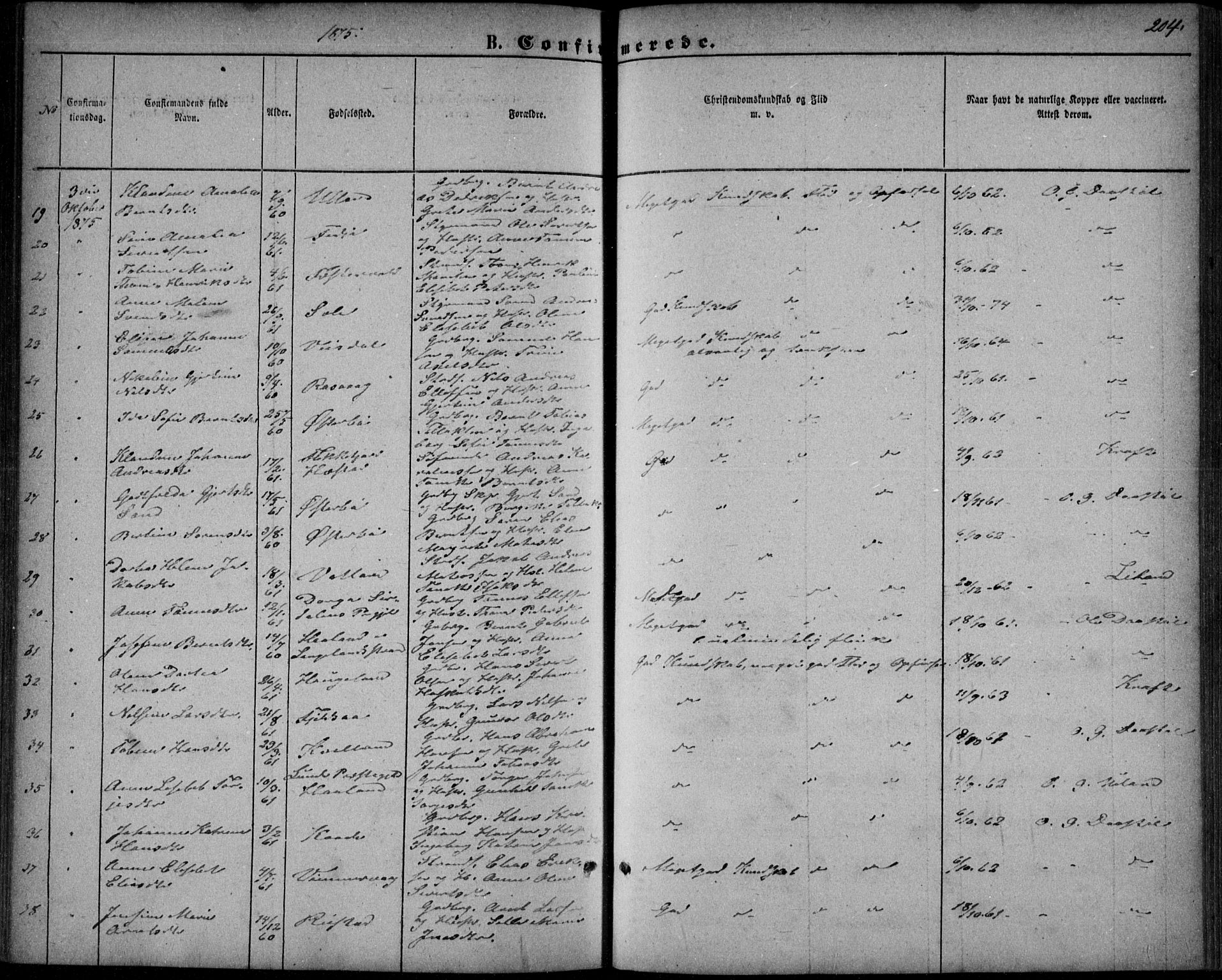 Flekkefjord sokneprestkontor, AV/SAK-1111-0012/F/Fb/Fbb/L0003: Parish register (copy) no. B 3, 1867-1889, p. 204