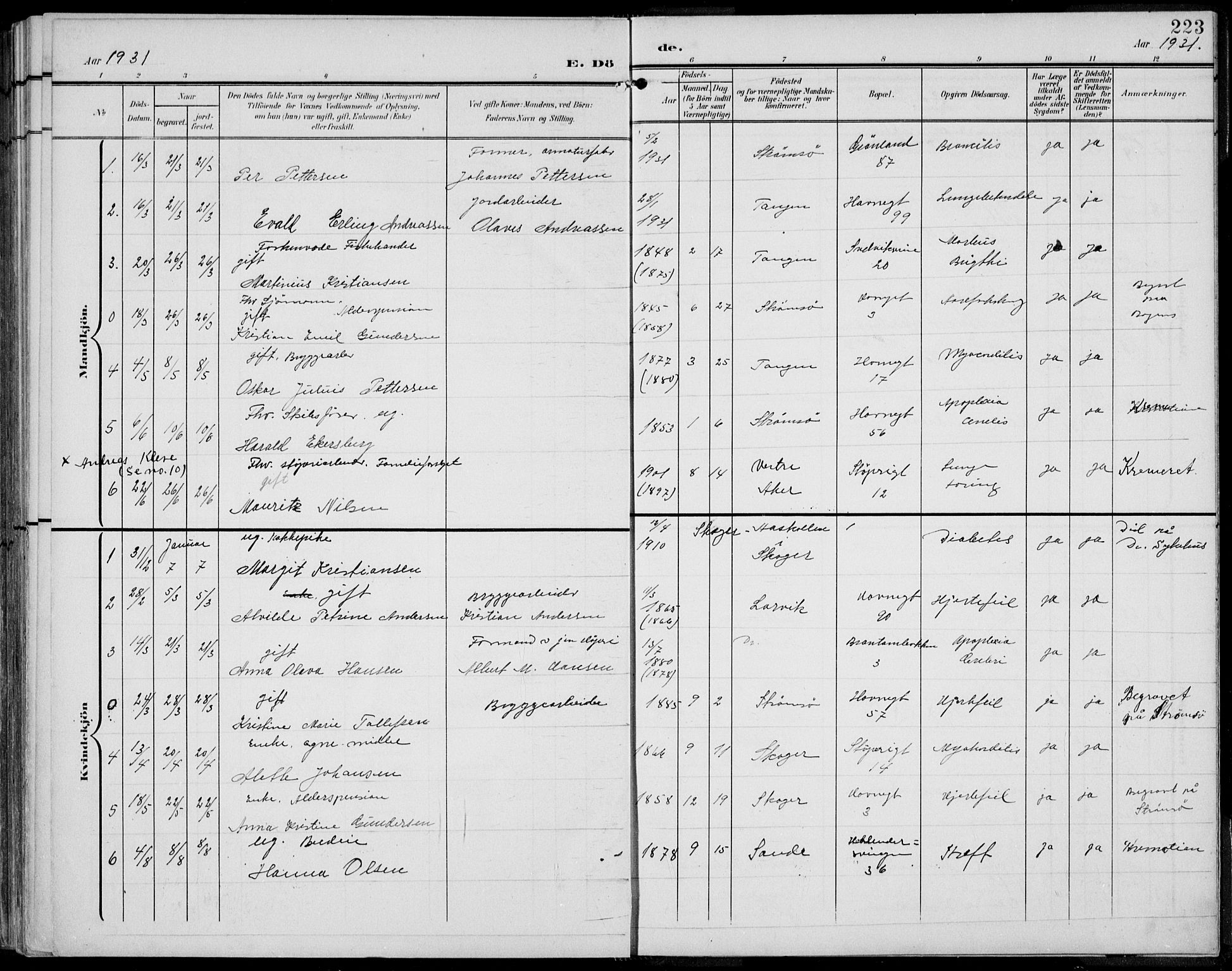 Strømsø kirkebøker, AV/SAKO-A-246/F/Fb/L0008: Parish register (official) no. II 8, 1902-1933, p. 223