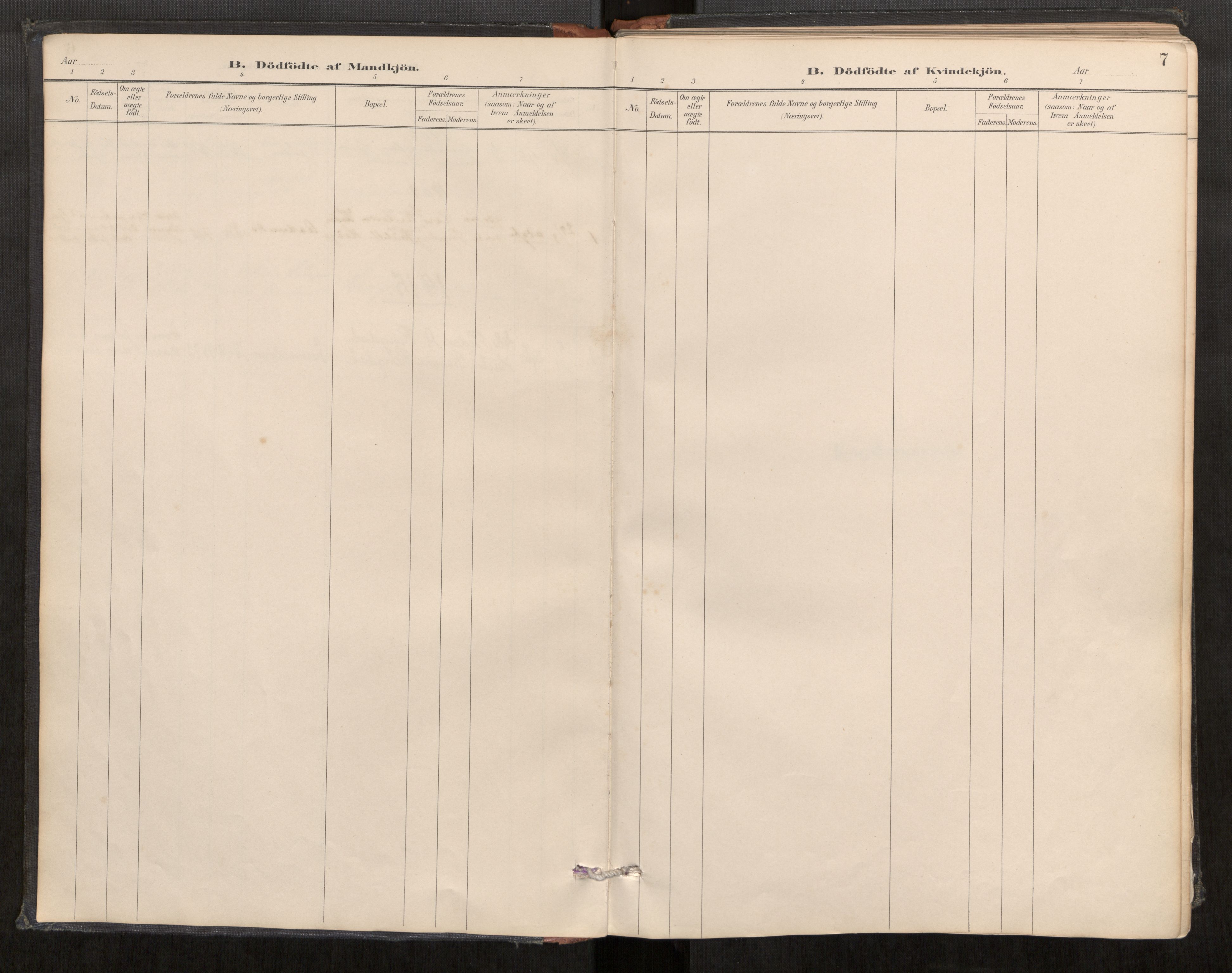 Sunnylven sokneprestkontor, AV/SAT-A-1007: Parish register (official) no. 517A09, 1887-1910, p. 7