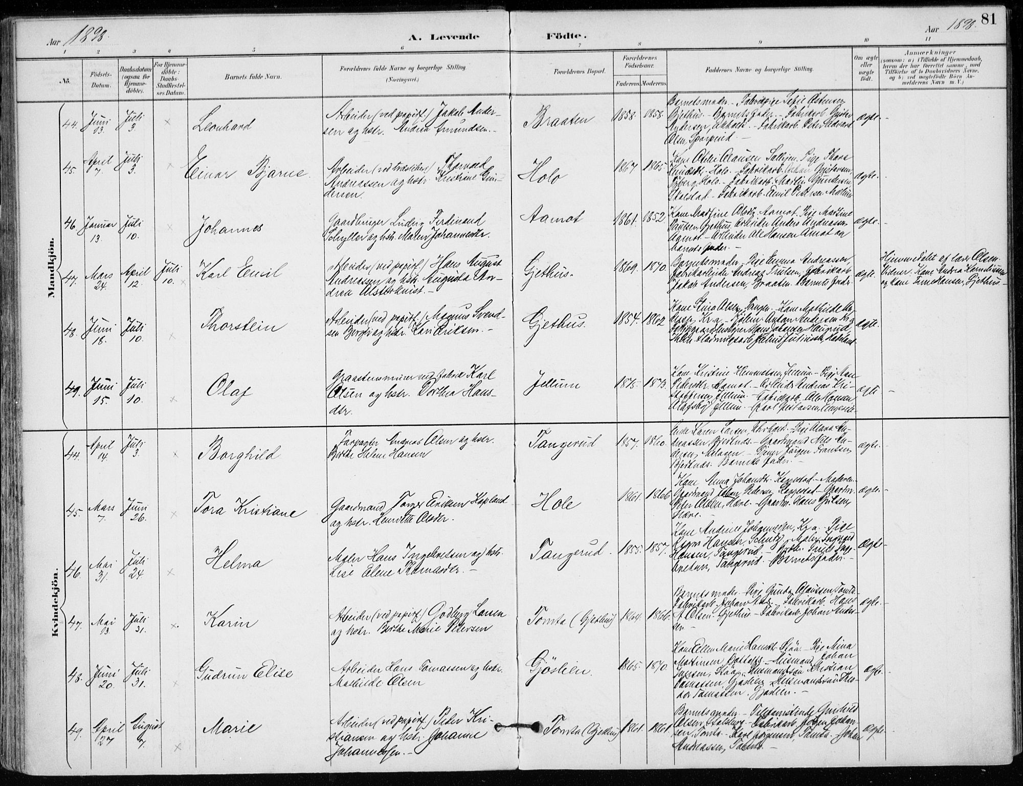 Modum kirkebøker, AV/SAKO-A-234/F/Fa/L0012: Parish register (official) no. 12, 1890-1898, p. 81