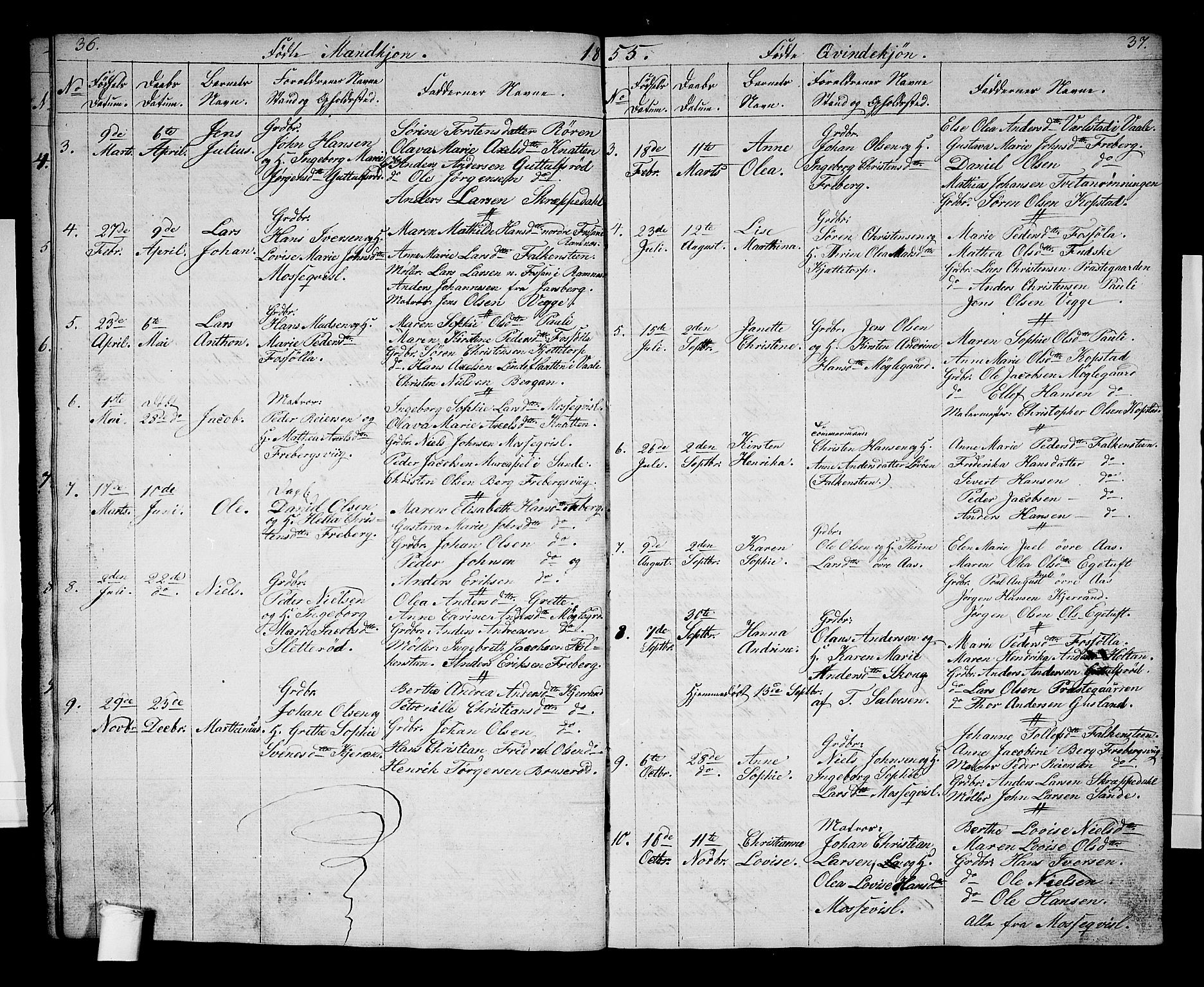 Borre kirkebøker, AV/SAKO-A-338/G/Gb/L0001: Parish register (copy) no. II 1, 1842-1877, p. 36-37