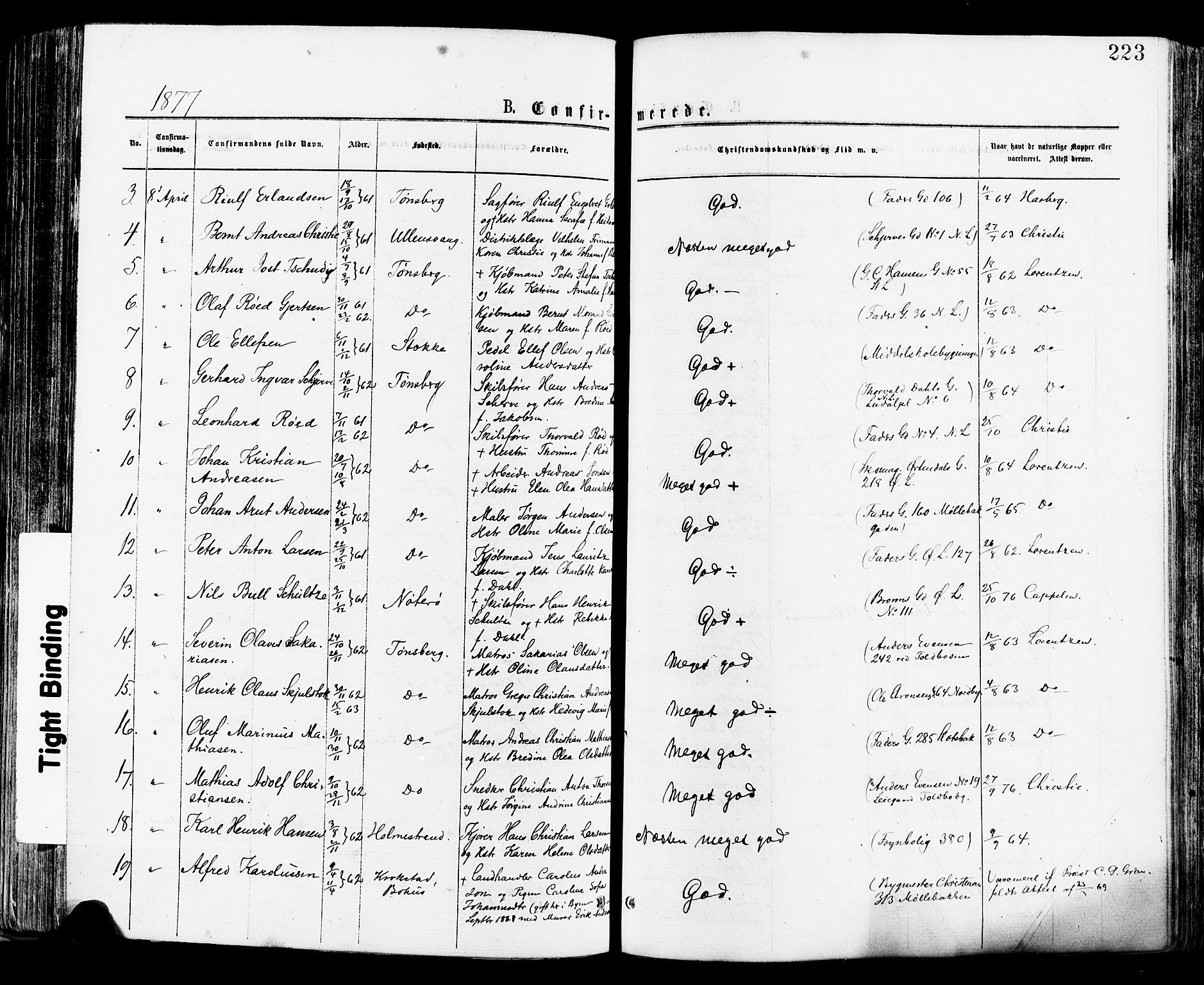 Tønsberg kirkebøker, AV/SAKO-A-330/F/Fa/L0010: Parish register (official) no. I 10, 1874-1880, p. 223