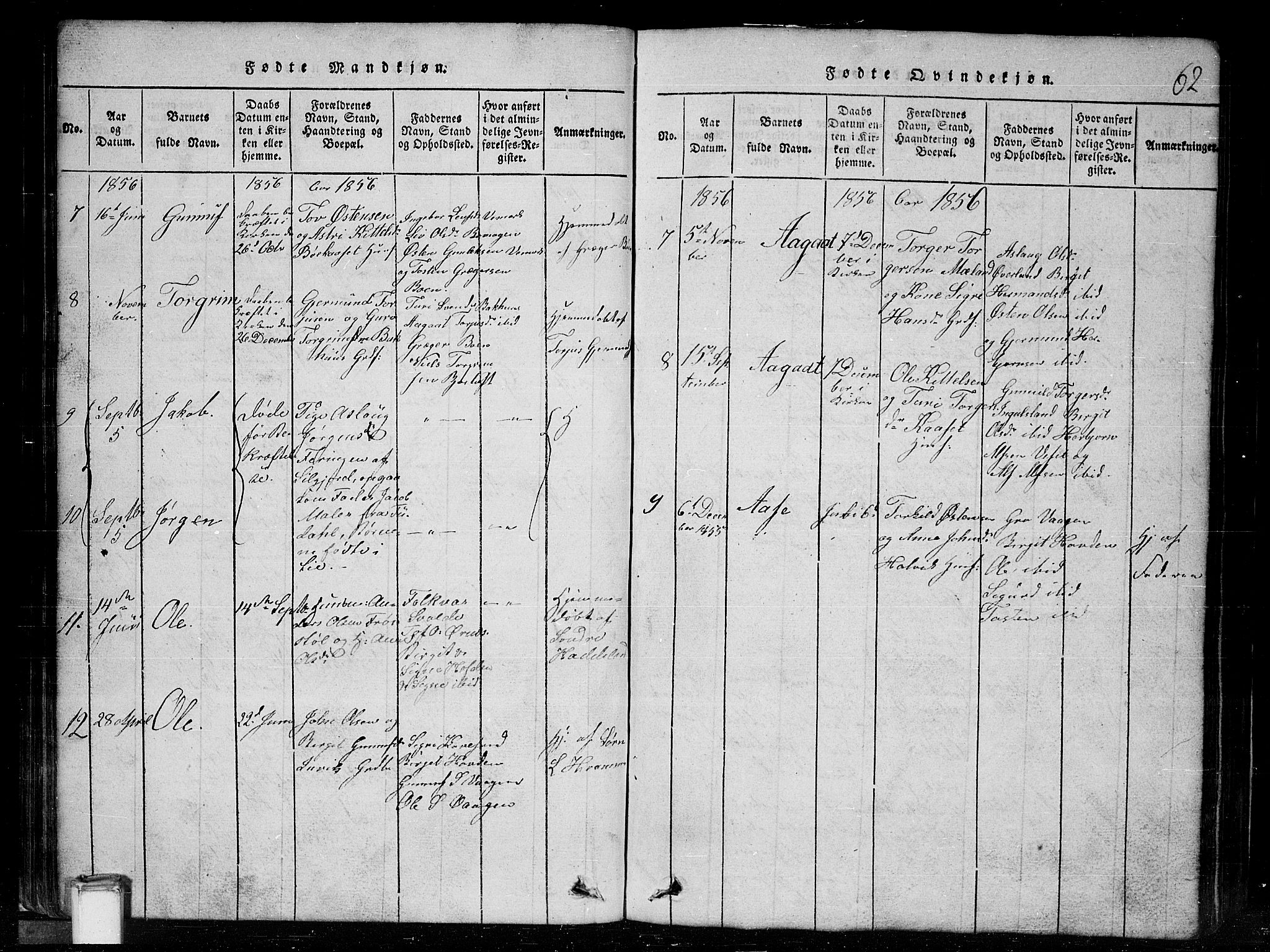 Tinn kirkebøker, AV/SAKO-A-308/G/Gc/L0001: Parish register (copy) no. III 1, 1815-1879, p. 62