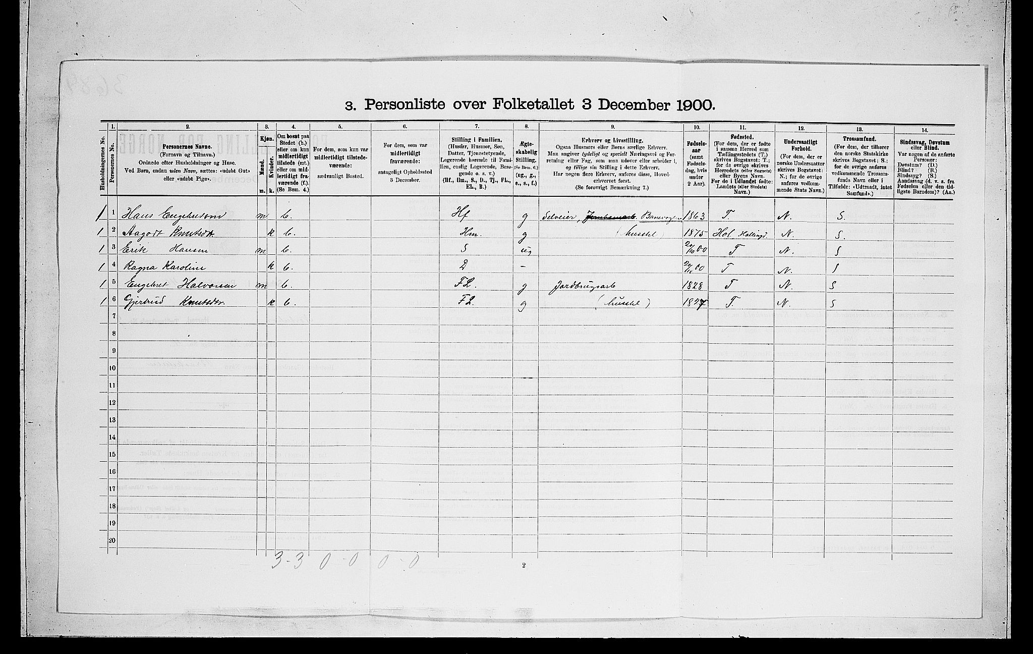 RA, 1900 census for Norderhov, 1900, p. 2061