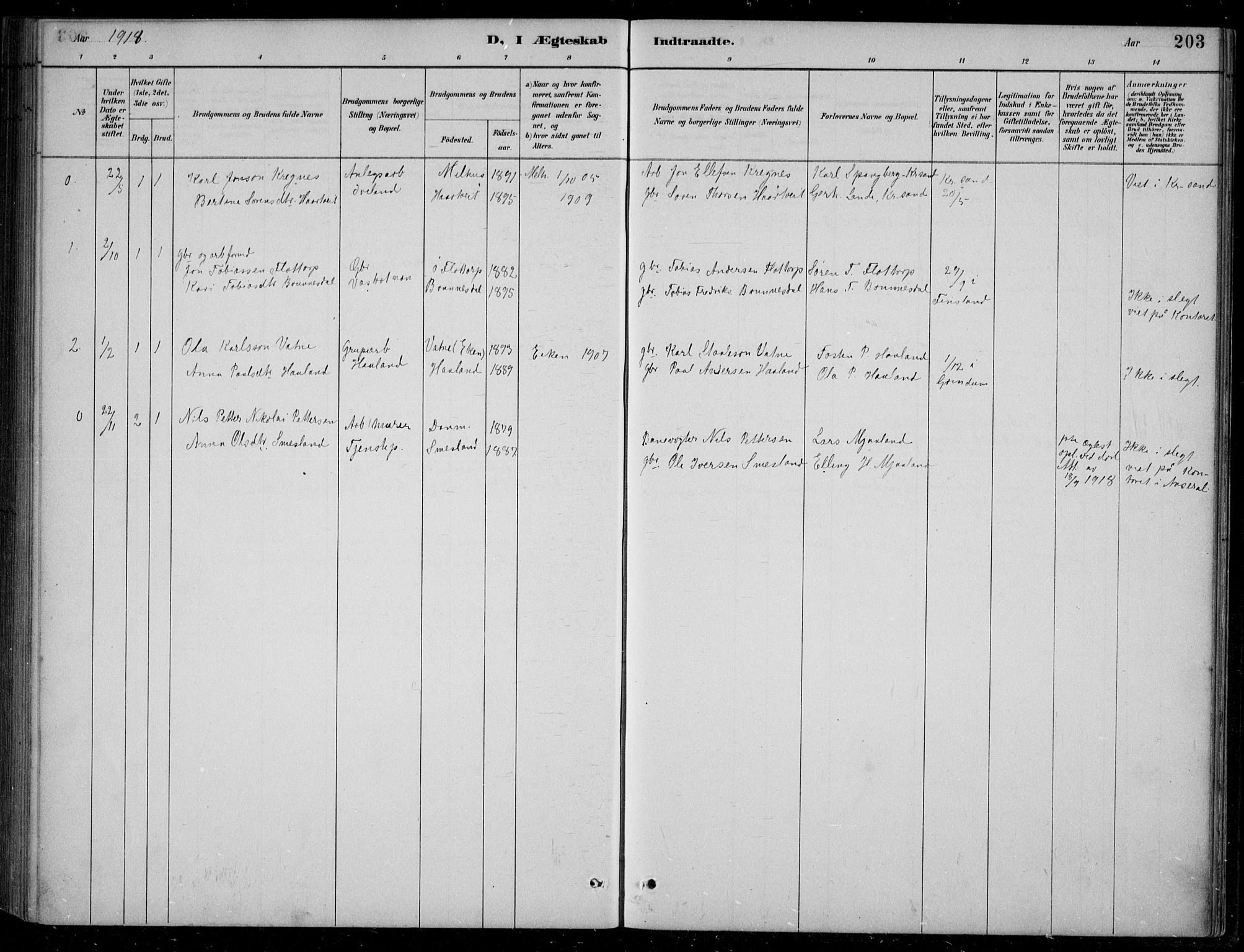 Bjelland sokneprestkontor, AV/SAK-1111-0005/F/Fb/Fbc/L0003: Parish register (copy) no. B 3, 1887-1924, p. 203