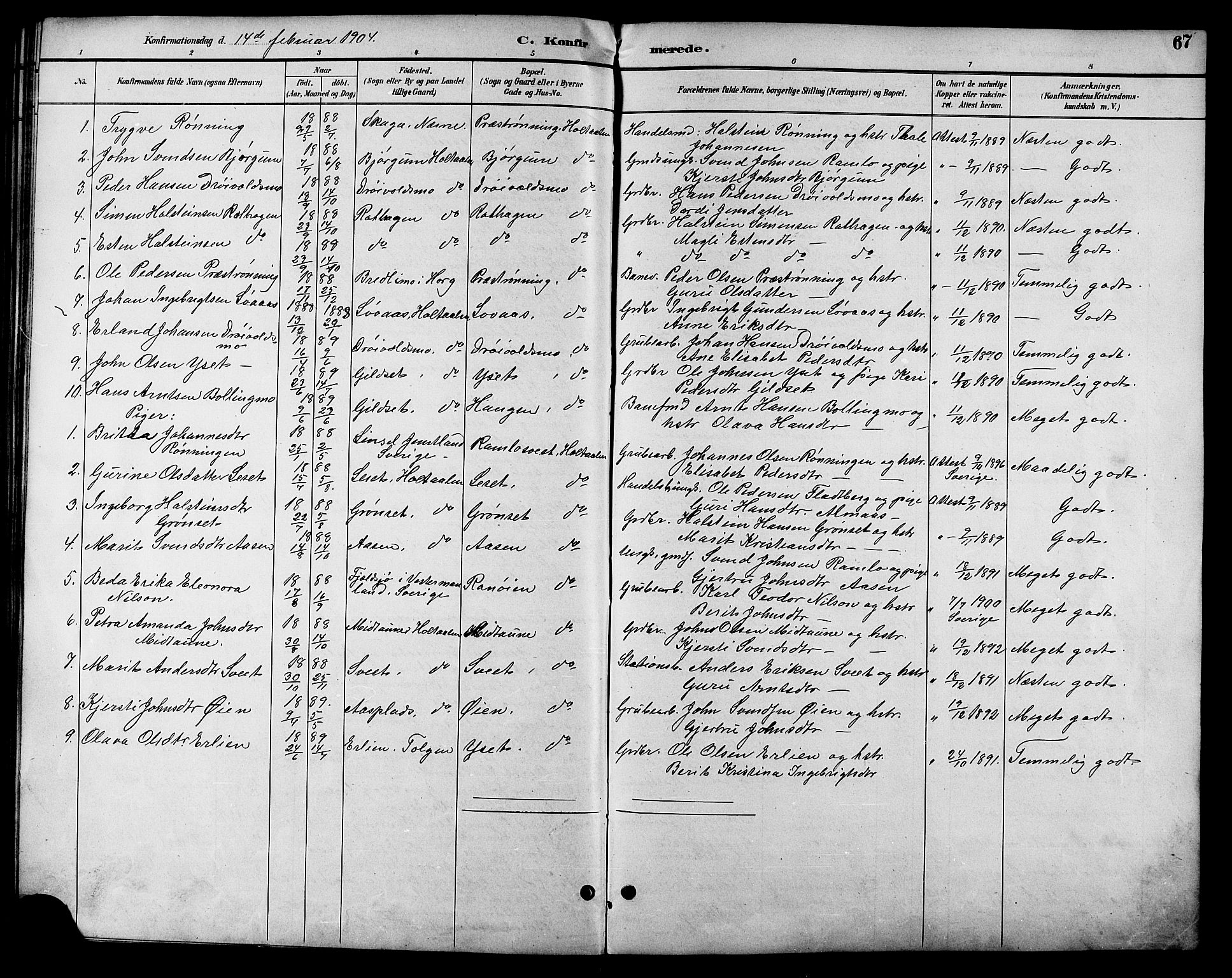 Ministerialprotokoller, klokkerbøker og fødselsregistre - Sør-Trøndelag, SAT/A-1456/685/L0978: Parish register (copy) no. 685C03, 1891-1907, p. 67