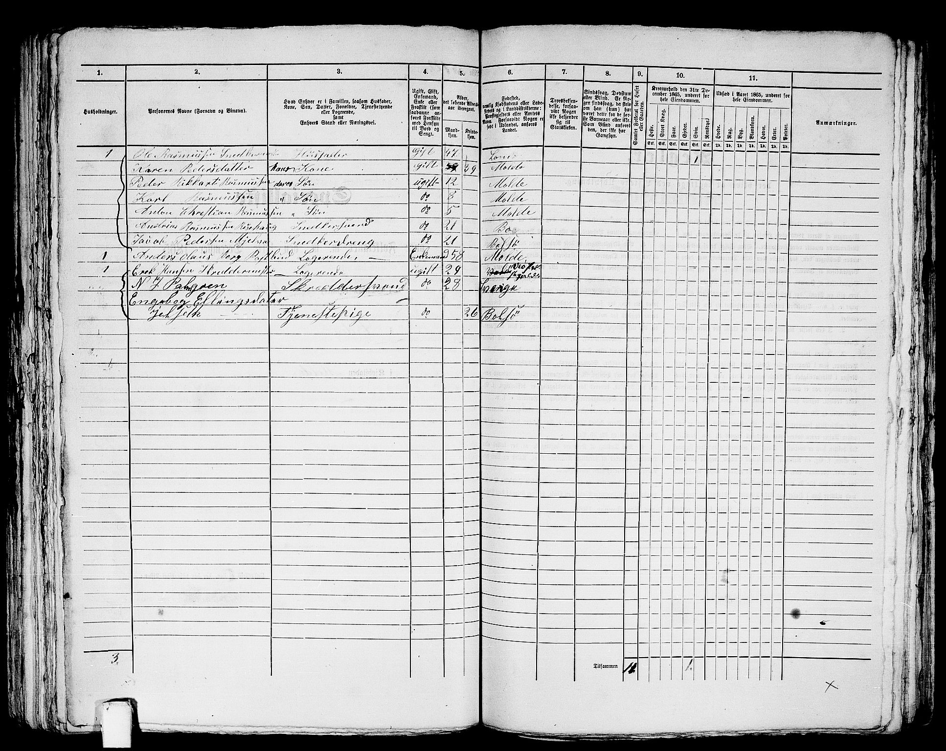RA, 1865 census for Molde, 1865, p. 255