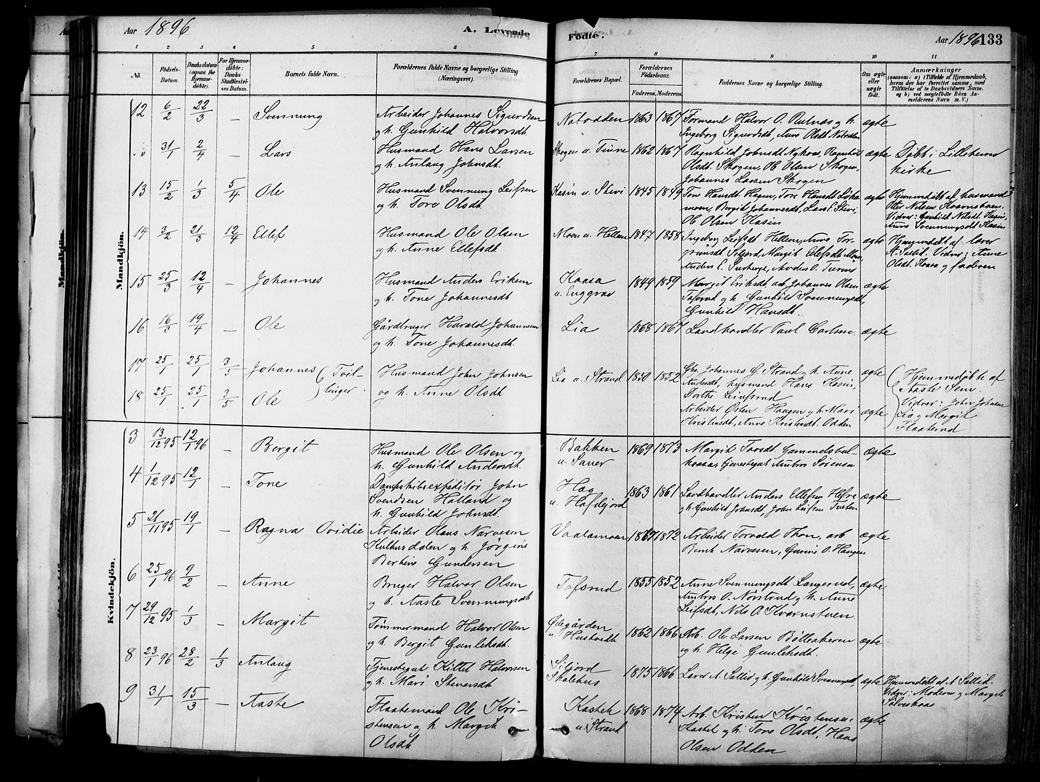 Heddal kirkebøker, SAKO/A-268/F/Fa/L0008: Parish register (official) no. I 8, 1878-1903, p. 133