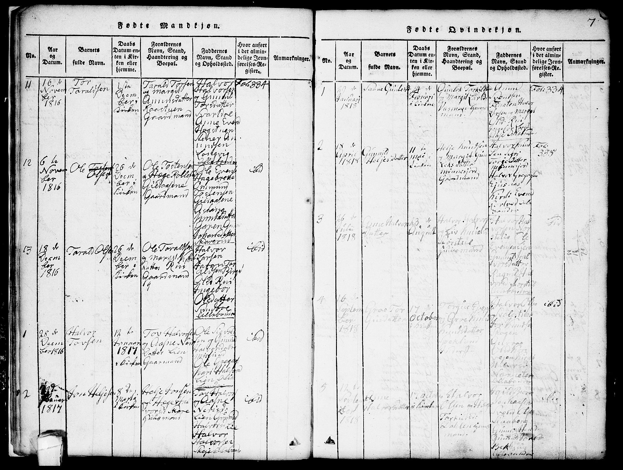 Seljord kirkebøker, SAKO/A-20/G/Gb/L0002: Parish register (copy) no. II 2, 1815-1854, p. 7