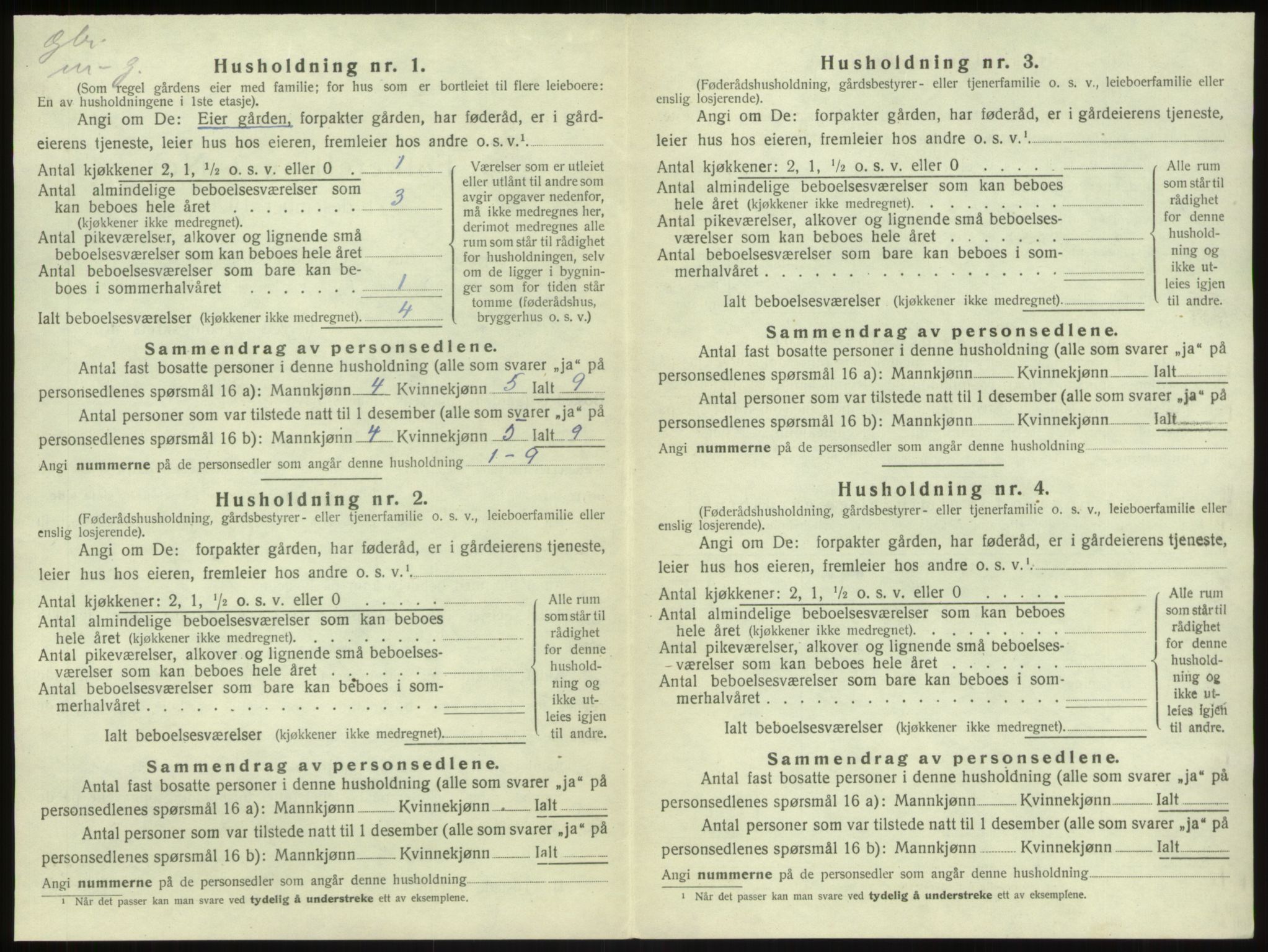 SAB, 1920 census for Sogndal, 1920, p. 869