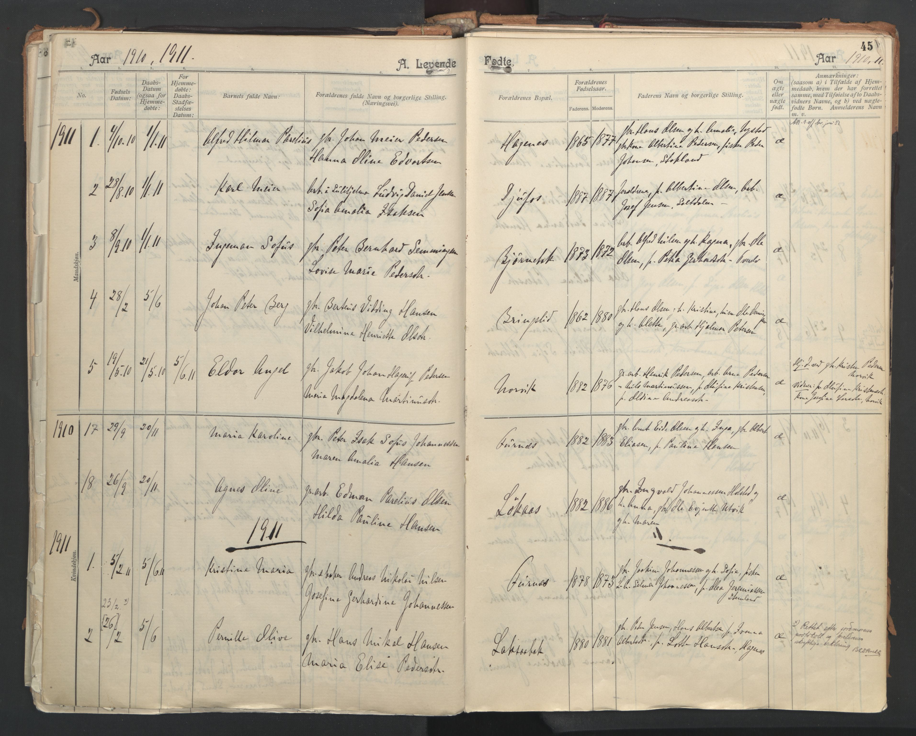 Ministerialprotokoller, klokkerbøker og fødselsregistre - Nordland, AV/SAT-A-1459/851/L0724: Parish register (official) no. 851A01, 1901-1922, p. 45