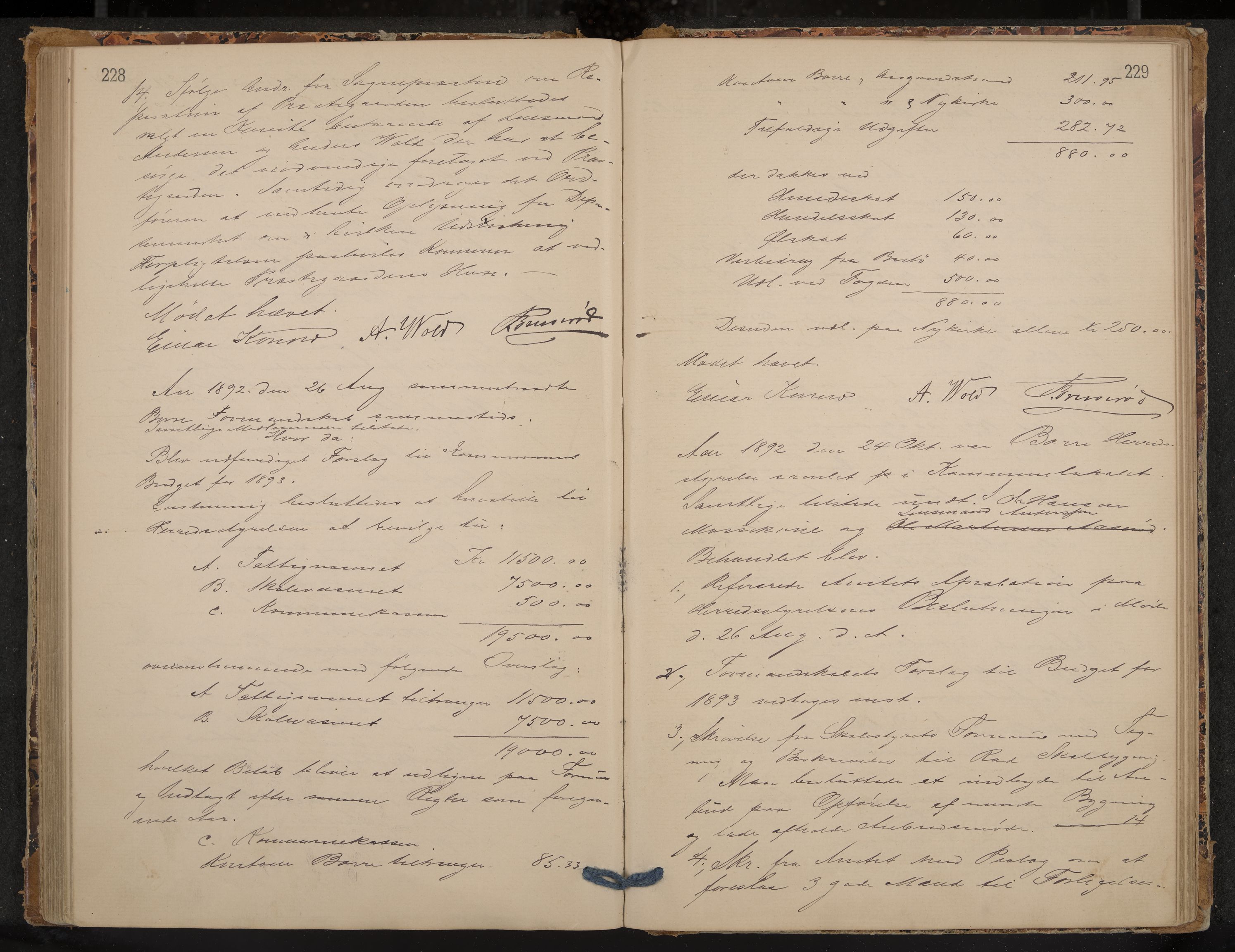 Borre formannskap og sentraladministrasjon, IKAK/0717021/A/L0002: Møtebok, 1881-1895, p. 228-229