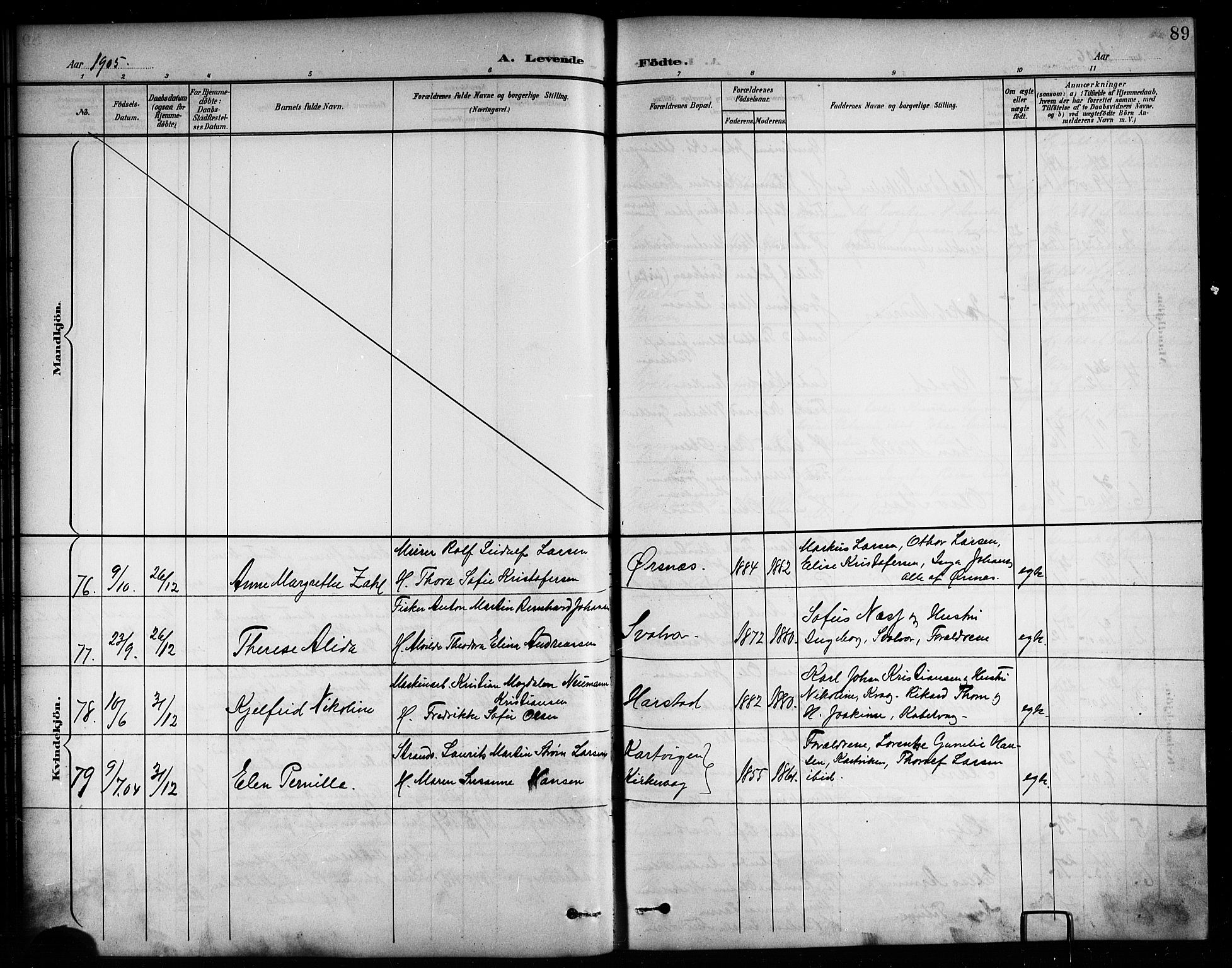 Ministerialprotokoller, klokkerbøker og fødselsregistre - Nordland, SAT/A-1459/874/L1078: Parish register (copy) no. 874C07, 1900-1907, p. 89