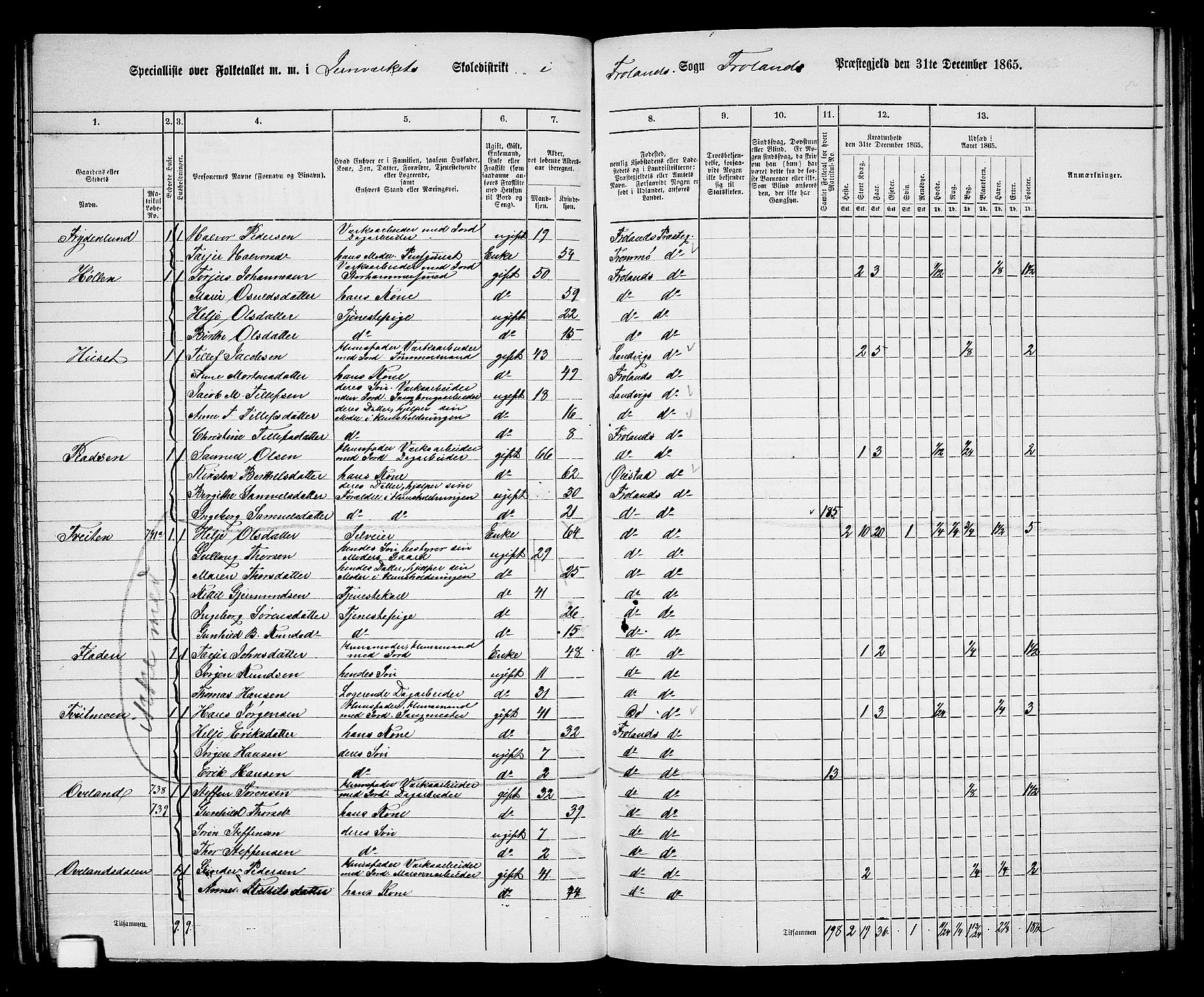 RA, 1865 census for Froland, 1865, p. 44