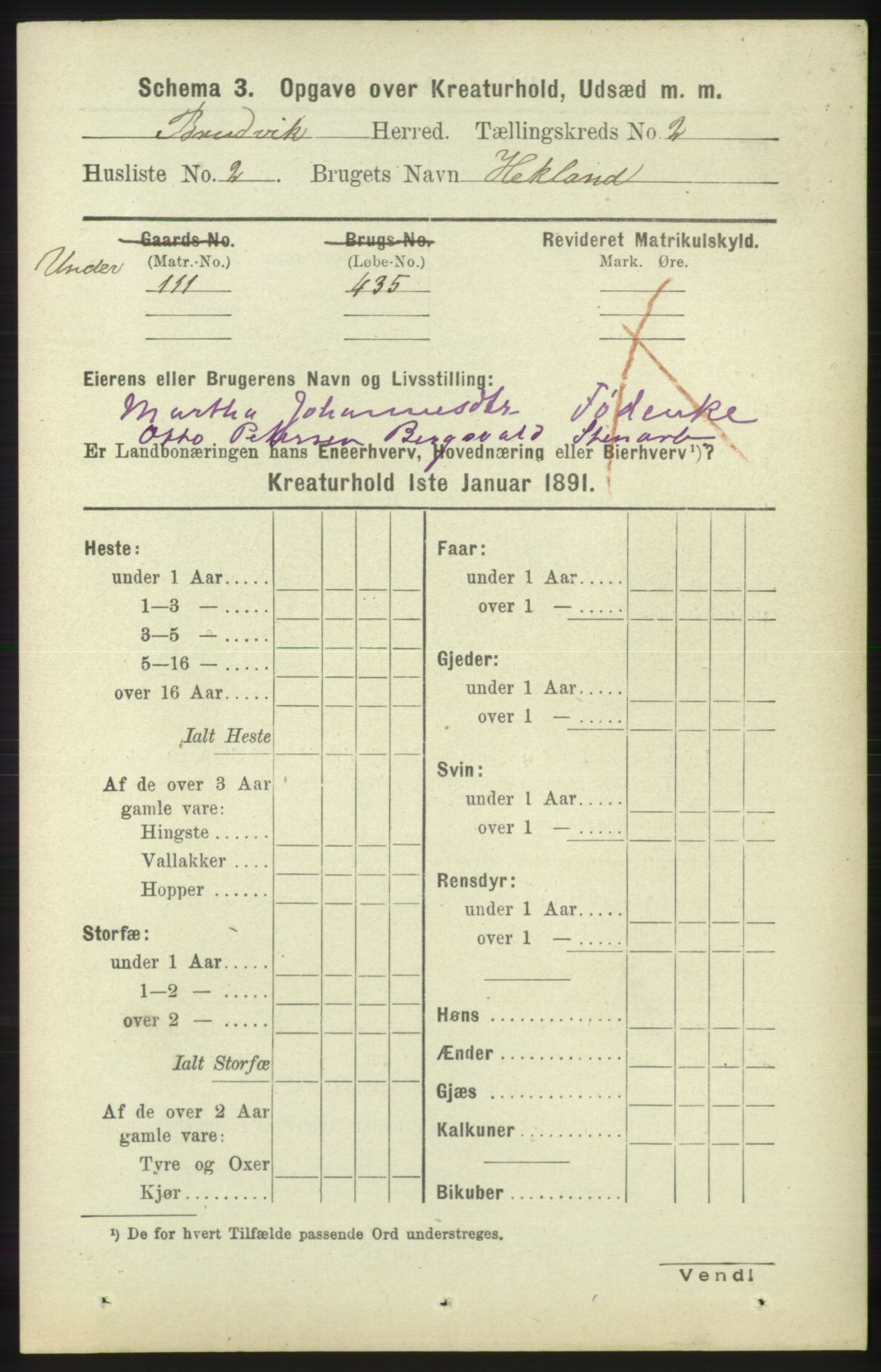 RA, 1891 census for 1251 Bruvik, 1891, p. 4234
