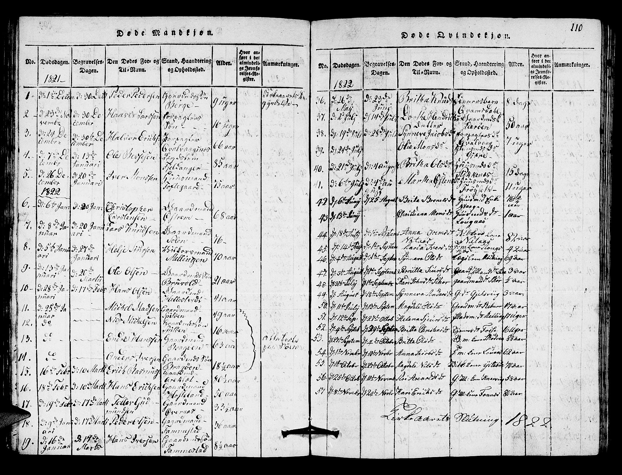 Lindås Sokneprestembete, AV/SAB-A-76701/H/Hab/Haba/L0001: Parish register (copy) no. A 1, 1816-1823, p. 110