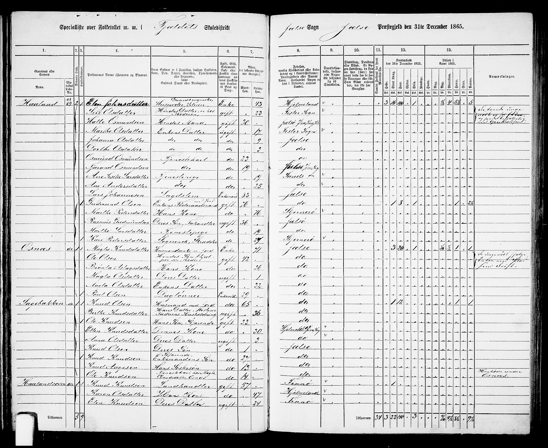 RA, 1865 census for Jelsa, 1865, p. 26