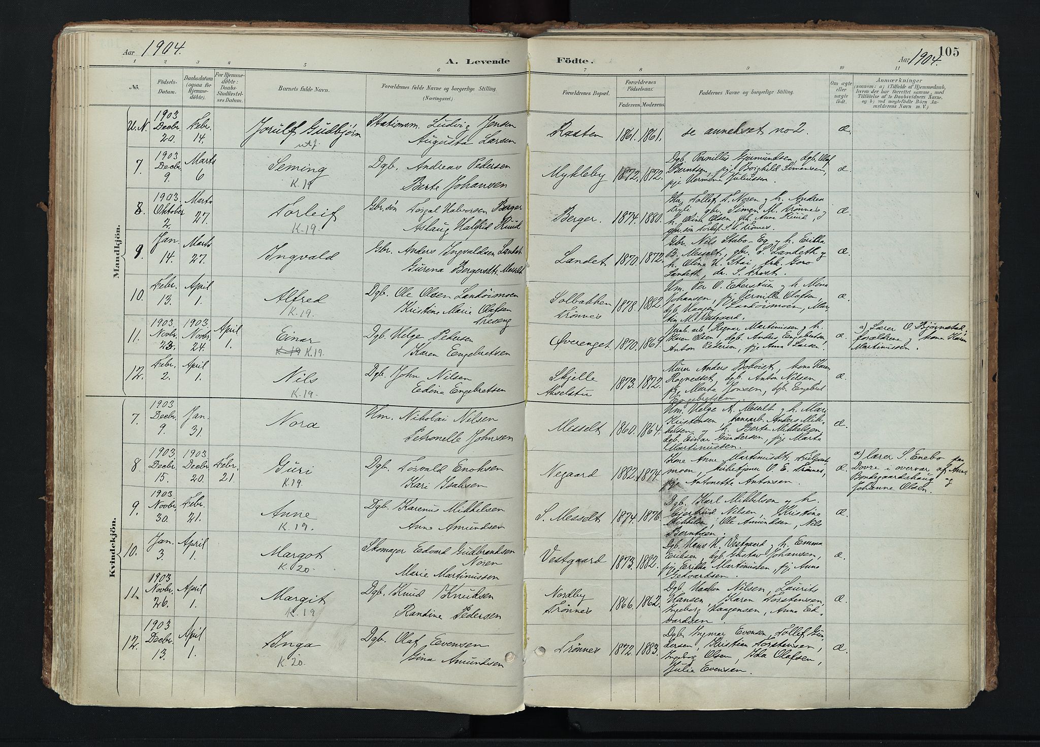 Stor-Elvdal prestekontor, AV/SAH-PREST-052/H/Ha/Haa/L0004: Parish register (official) no. 4, 1890-1922, p. 105