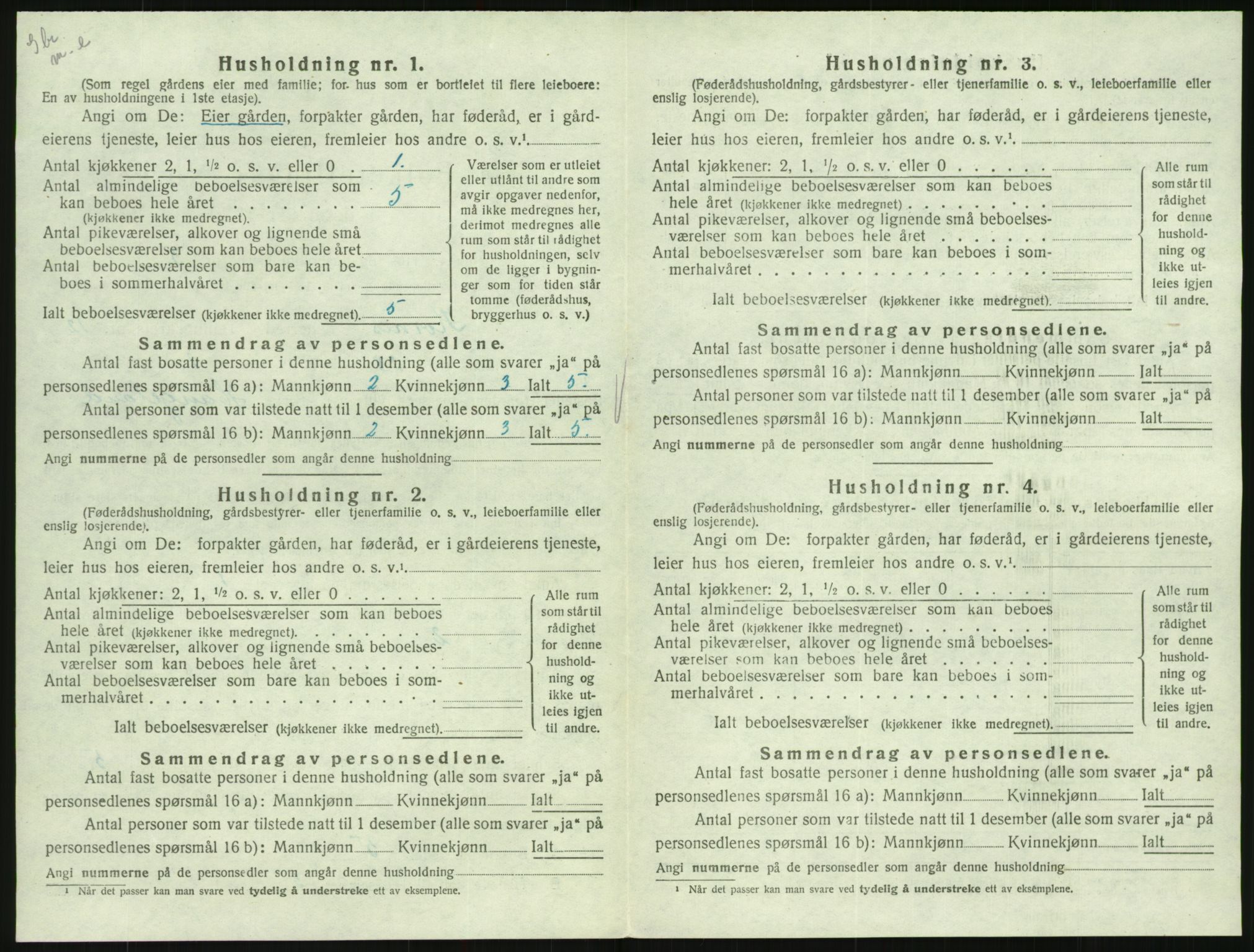 SAK, 1920 census for Hornnes, 1920, p. 478