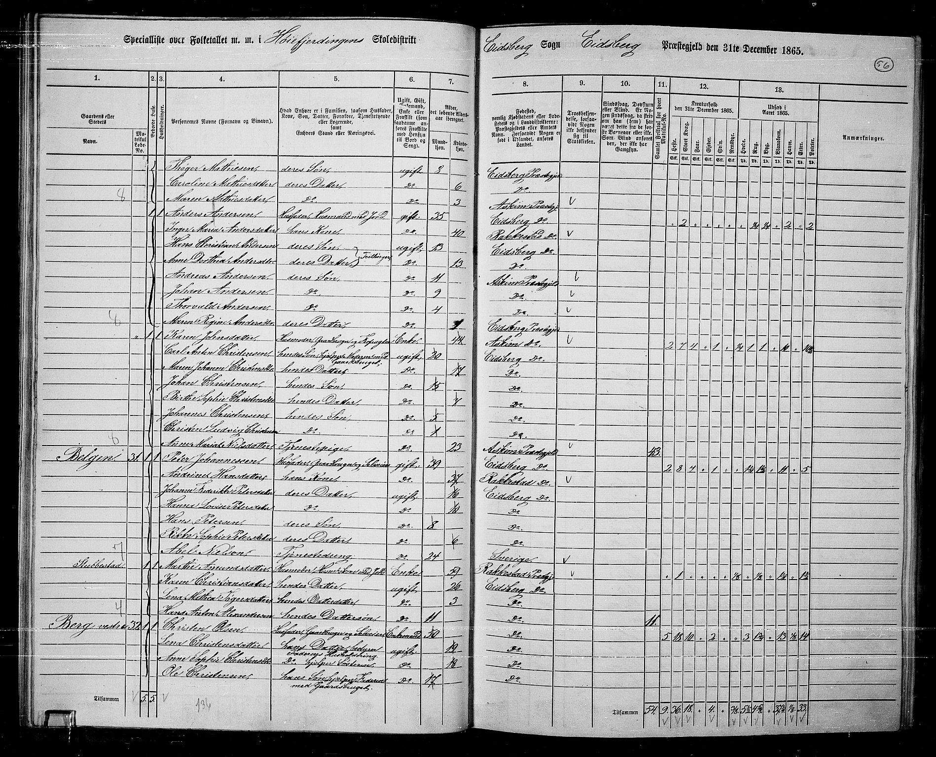 RA, 1865 census for Eidsberg, 1865, p. 48