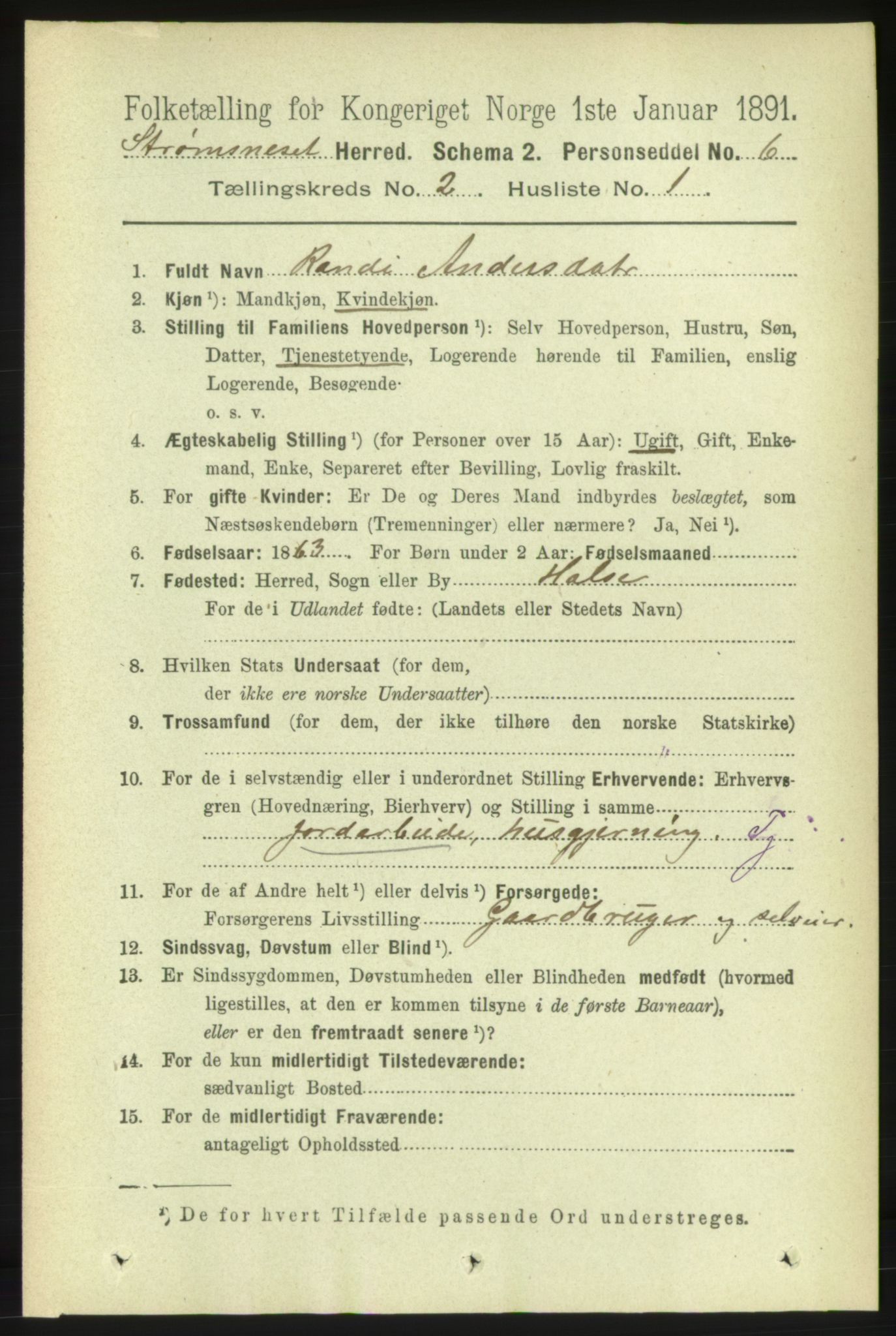 RA, 1891 census for 1559 Straumsnes, 1891, p. 217