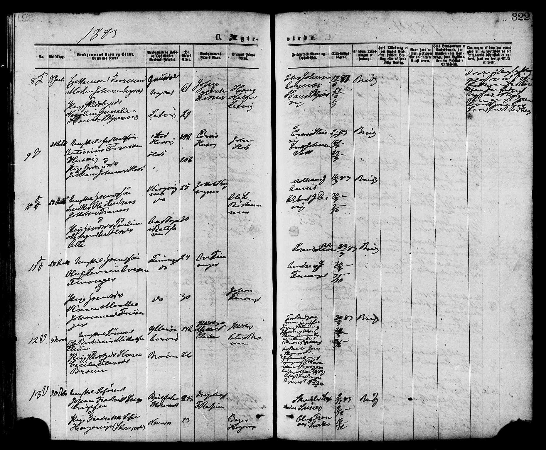 Ministerialprotokoller, klokkerbøker og fødselsregistre - Nord-Trøndelag, AV/SAT-A-1458/773/L0616: Parish register (official) no. 773A07, 1870-1887, p. 322