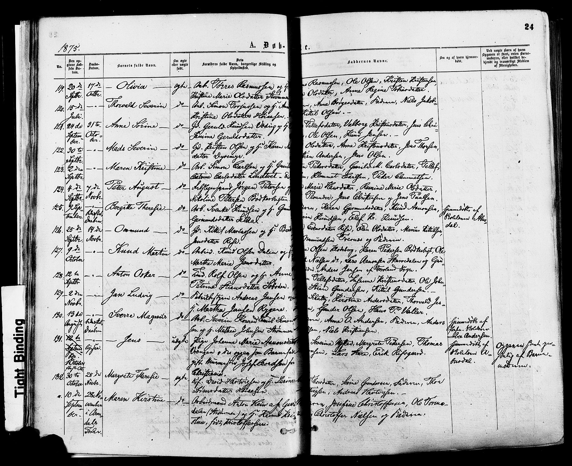 Øyestad sokneprestkontor, AV/SAK-1111-0049/F/Fa/L0016: Parish register (official) no. A 16, 1874-1886, p. 24