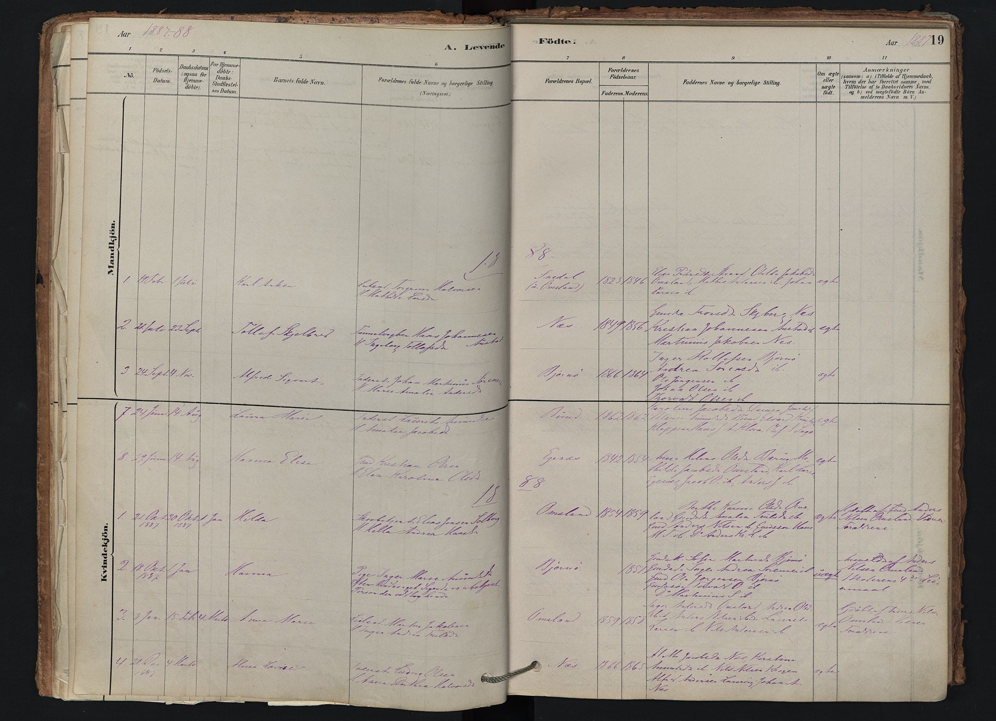 Brunlanes kirkebøker, AV/SAKO-A-342/F/Fd/L0001: Parish register (official) no. IV 1, 1878-1917, p. 19