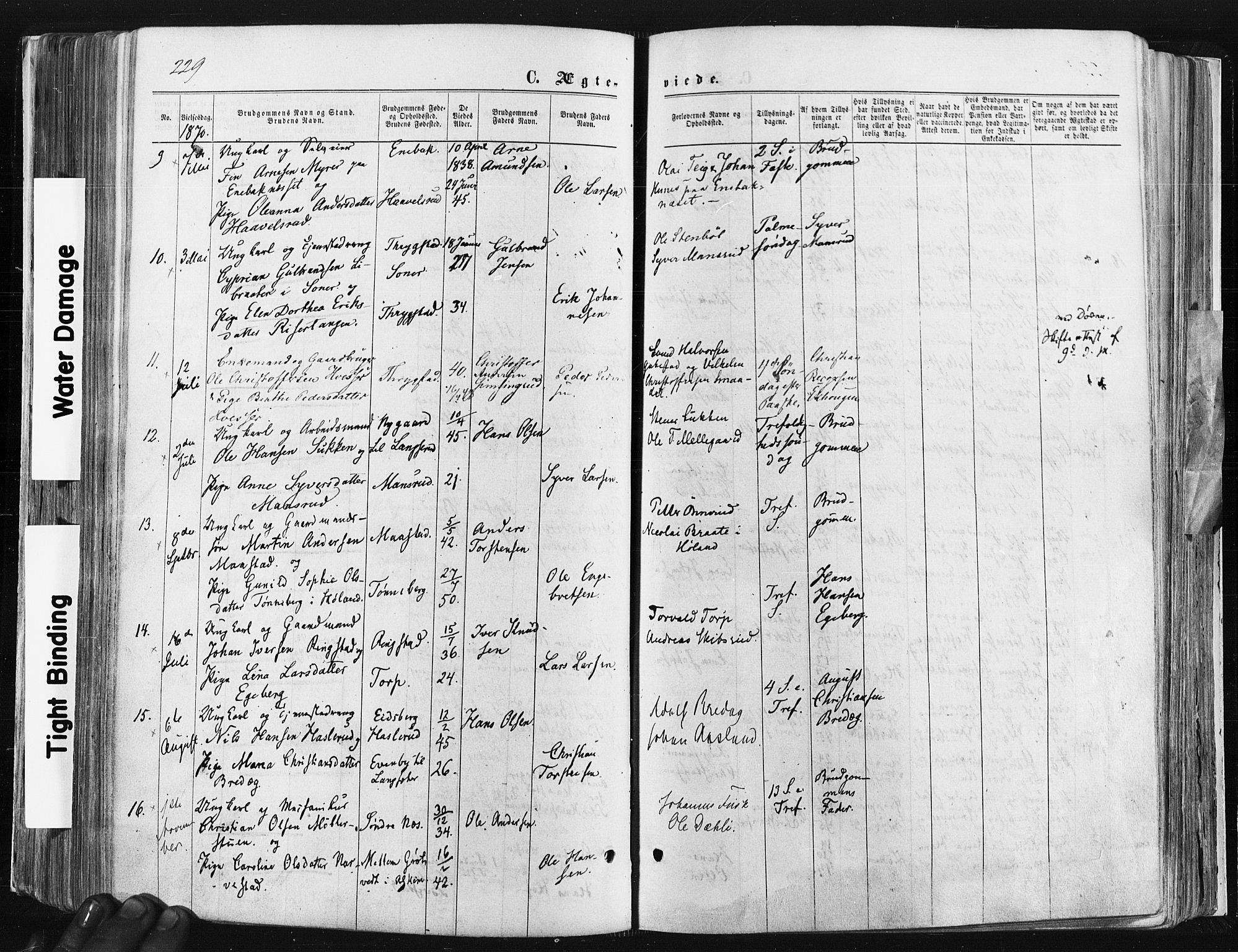 Trøgstad prestekontor Kirkebøker, SAO/A-10925/F/Fa/L0009: Parish register (official) no. I 9, 1865-1877, p. 229