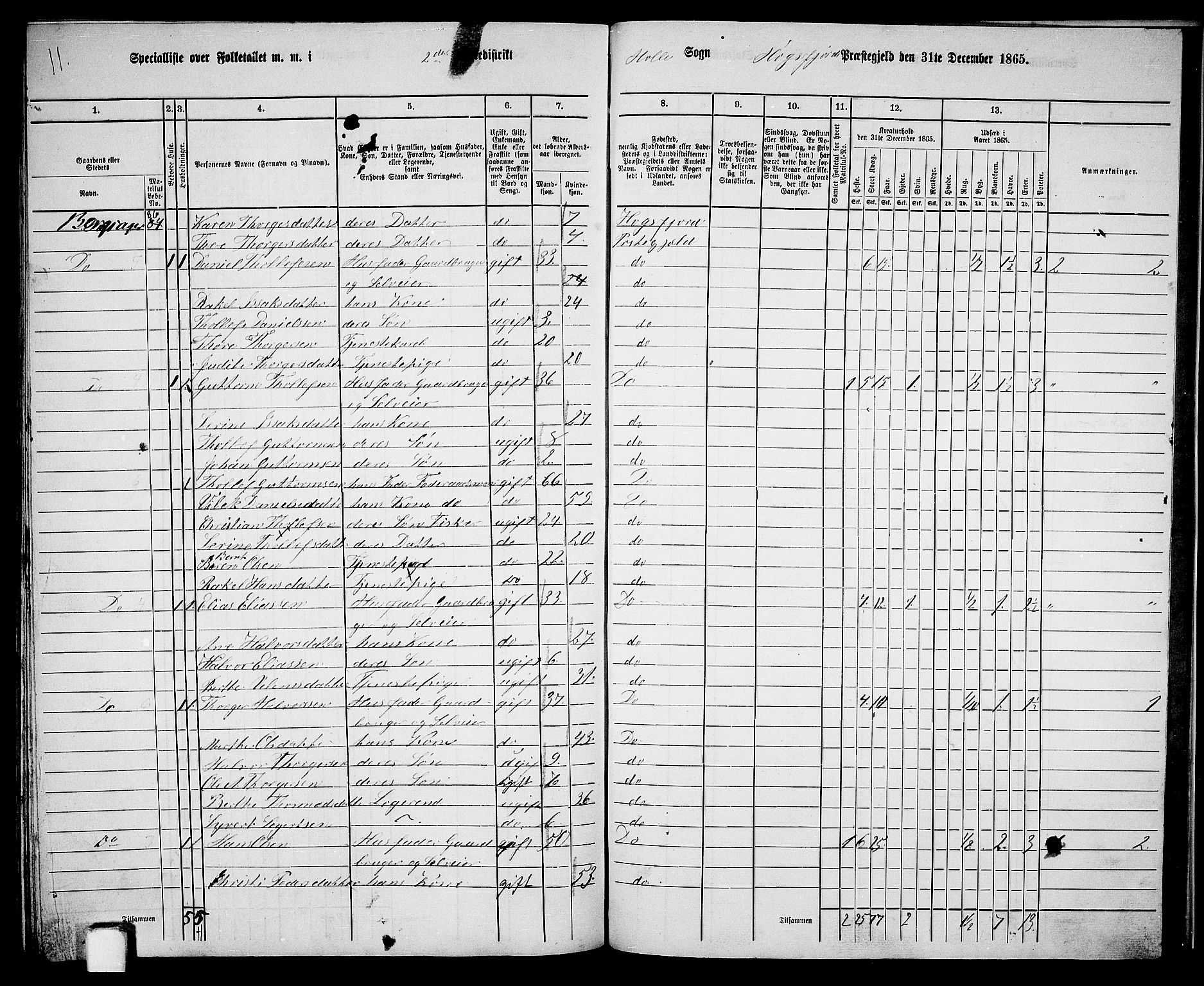 RA, 1865 census for Høgsfjord, 1865, p. 137