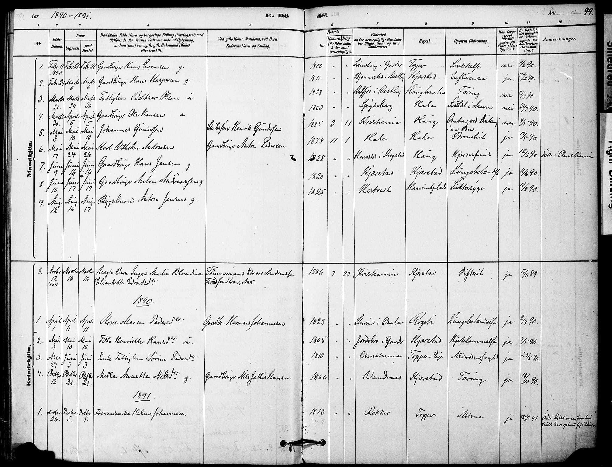 Vestby prestekontor Kirkebøker, SAO/A-10893/F/Fa/L0011: Parish register (official) no. I 11, 1878-1913, p. 99