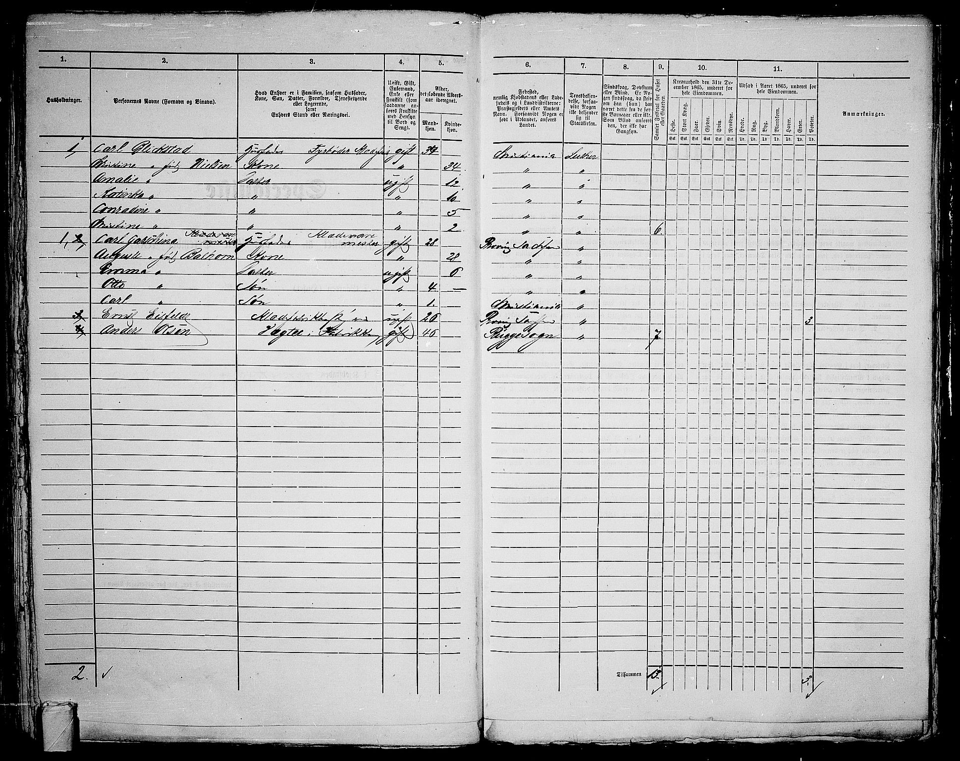 RA, 1865 census for Kristiania, 1865, p. 1618