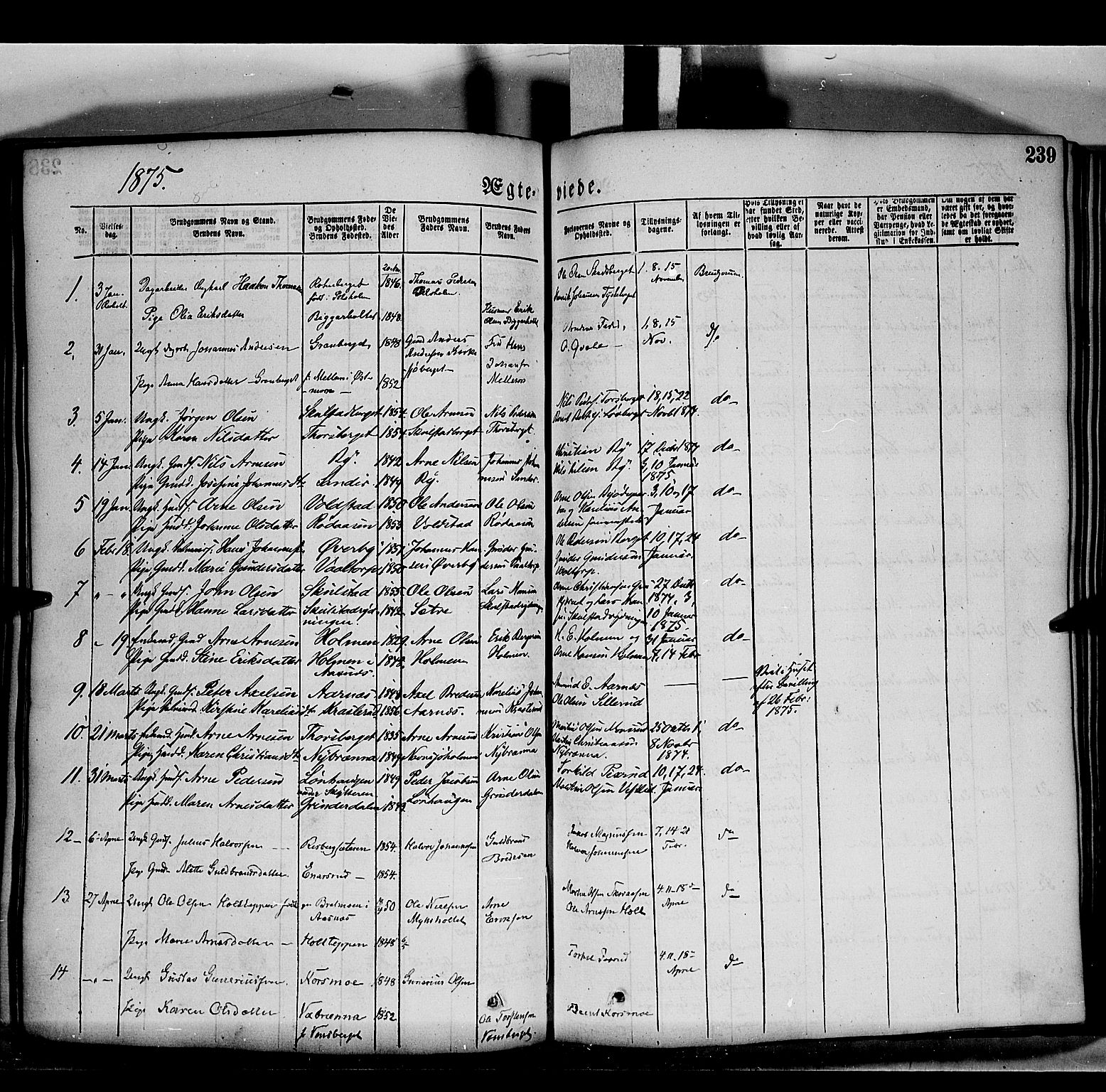 Grue prestekontor, SAH/PREST-036/H/Ha/Haa/L0011: Parish register (official) no. 11, 1873-1880, p. 239