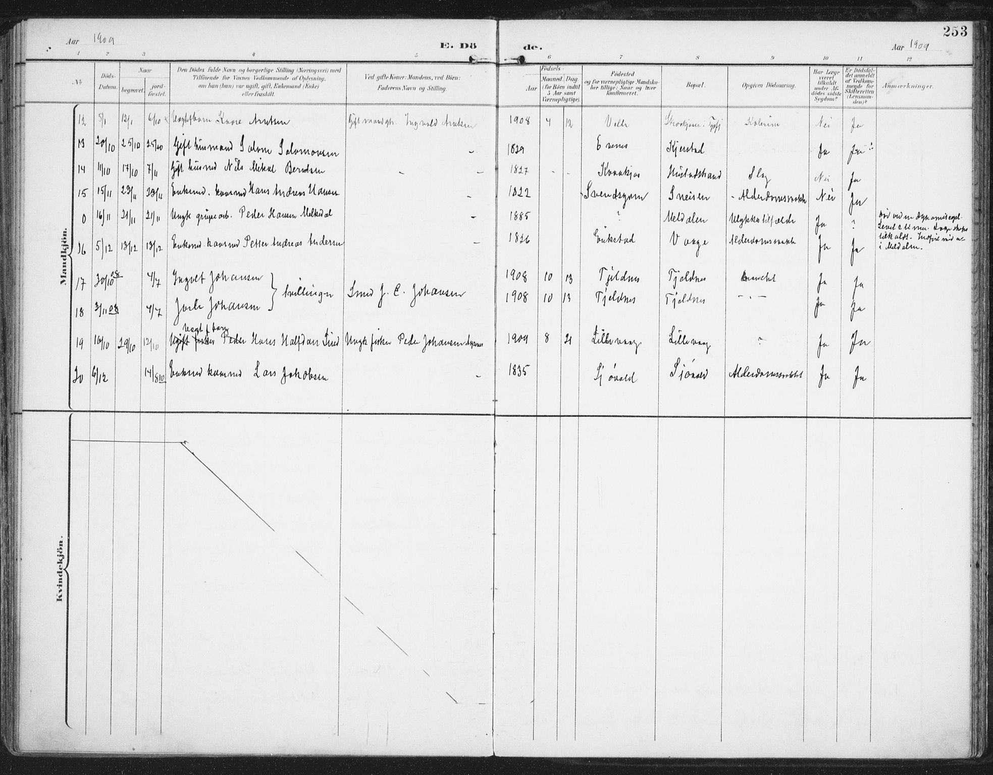 Ministerialprotokoller, klokkerbøker og fødselsregistre - Nordland, AV/SAT-A-1459/872/L1036: Parish register (official) no. 872A11, 1897-1913, p. 253