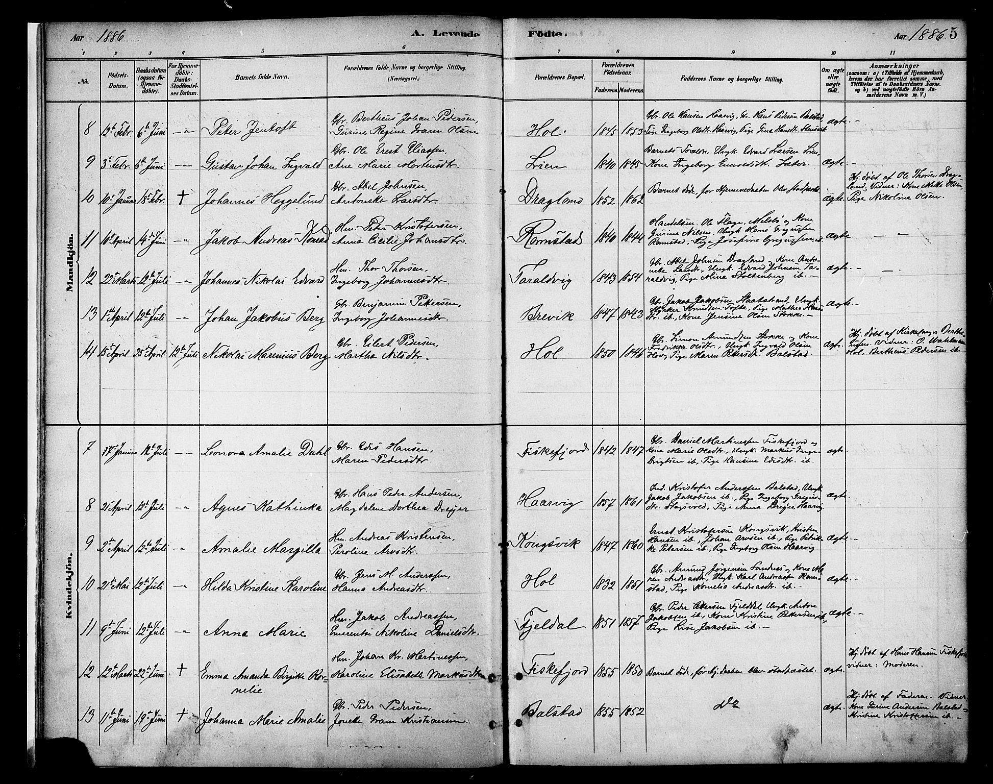 Ministerialprotokoller, klokkerbøker og fødselsregistre - Nordland, AV/SAT-A-1459/865/L0924: Parish register (official) no. 865A02, 1885-1896, p. 5