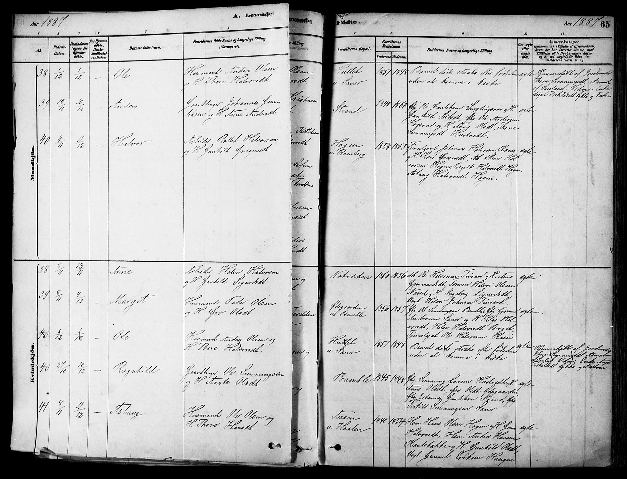 Heddal kirkebøker, SAKO/A-268/F/Fa/L0008: Parish register (official) no. I 8, 1878-1903, p. 65