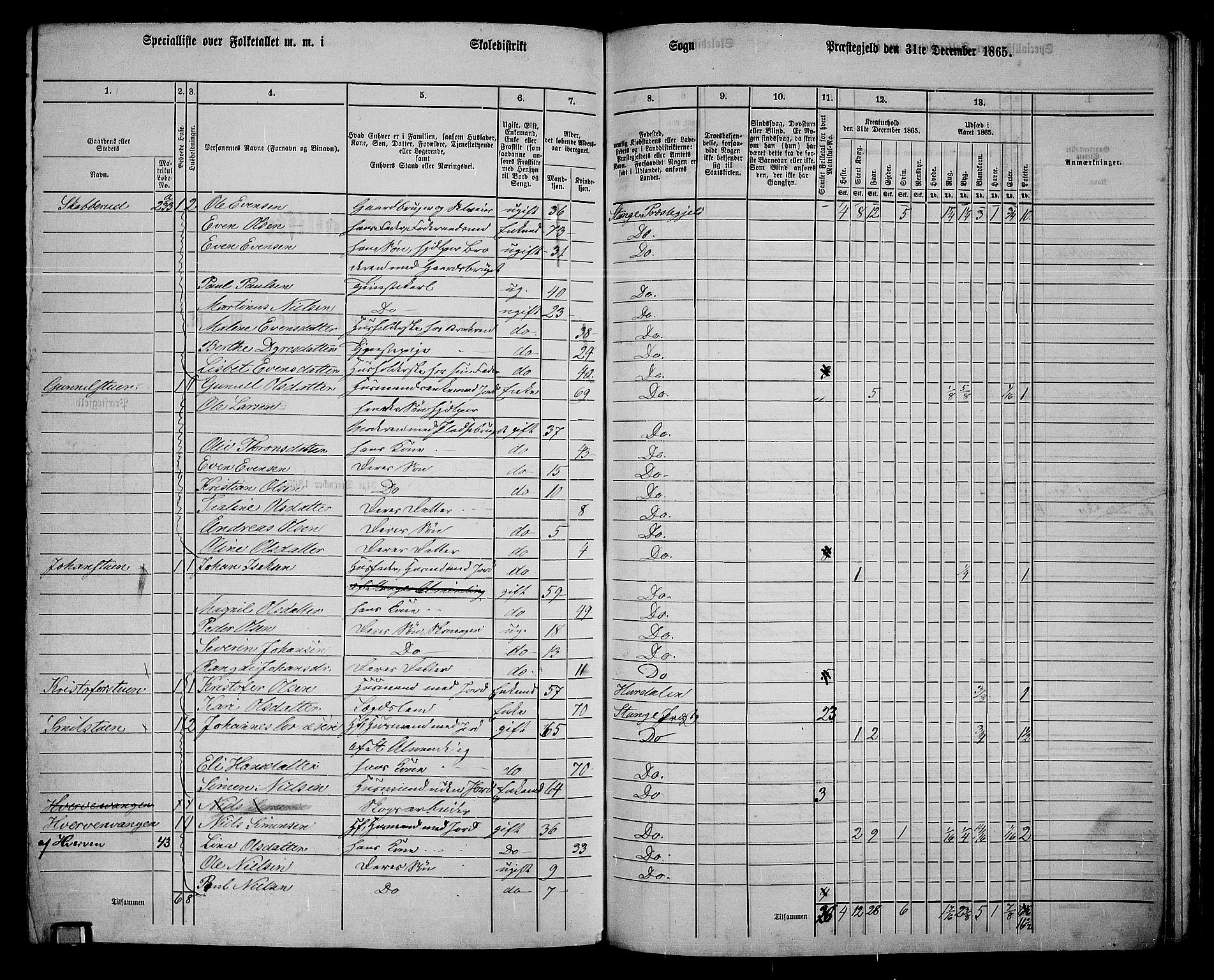 RA, 1865 census for Stange, 1865, p. 222