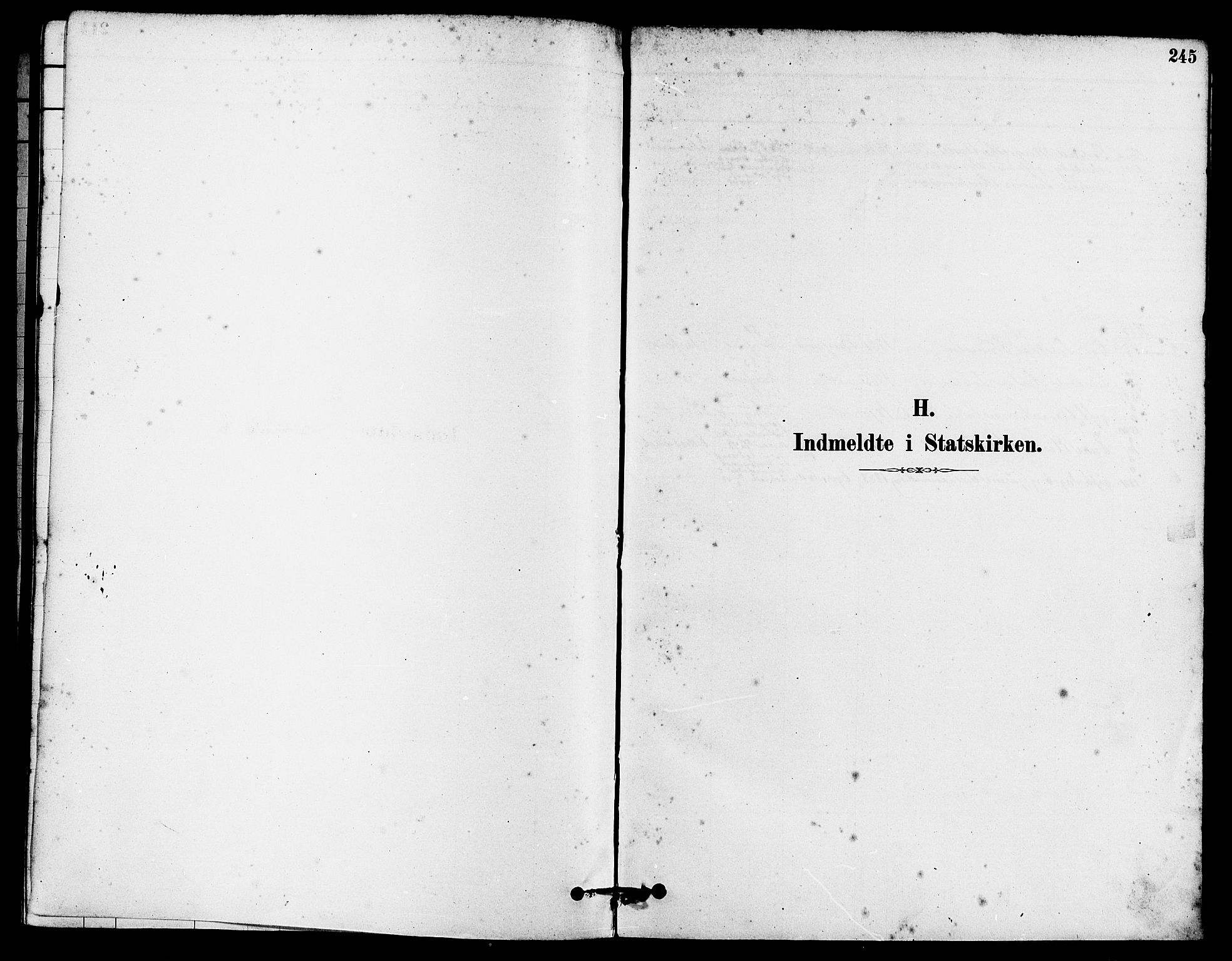 Eigersund sokneprestkontor, SAST/A-101807/S08/L0015: Parish register (official) no. A 15, 1879-1892, p. 245