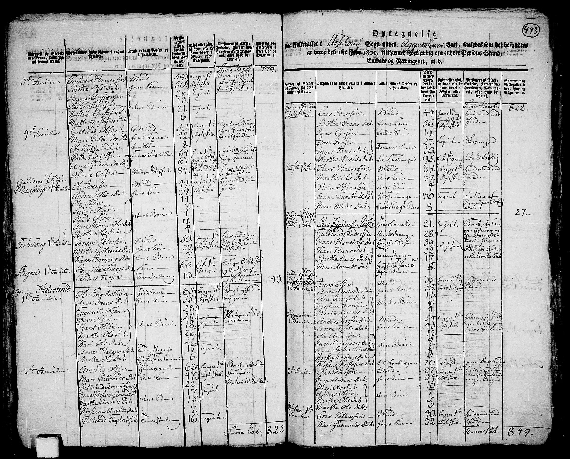 RA, 1801 census for 0224P Aurskog, 1801, p. 492b-493a