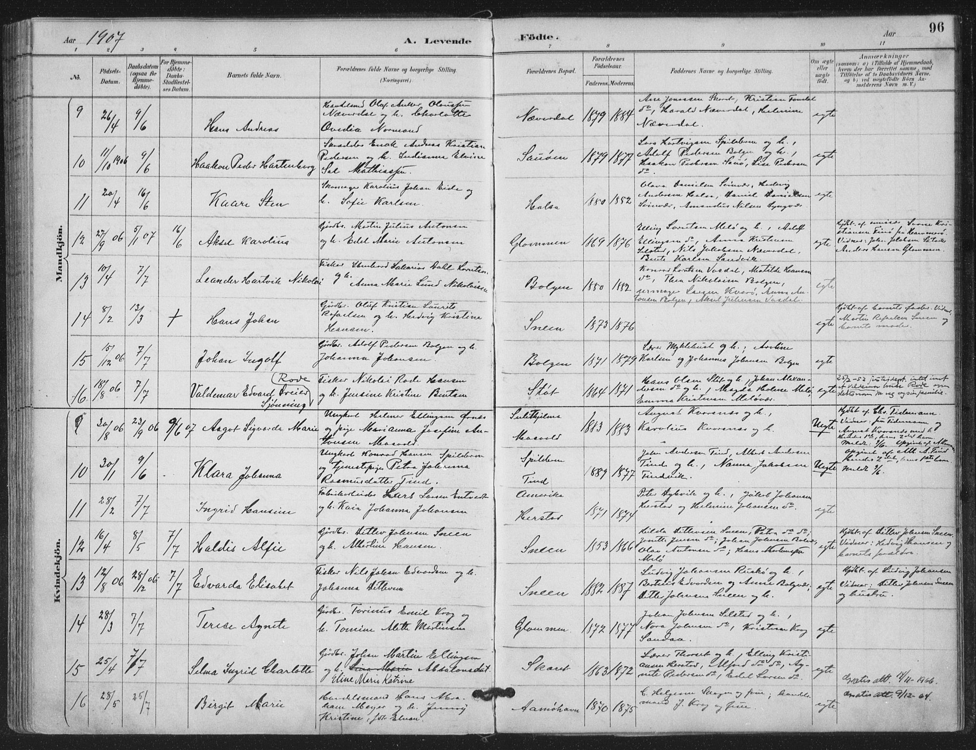 Ministerialprotokoller, klokkerbøker og fødselsregistre - Nordland, SAT/A-1459/843/L0628: Parish register (official) no. 843A03, 1889-1907, p. 96
