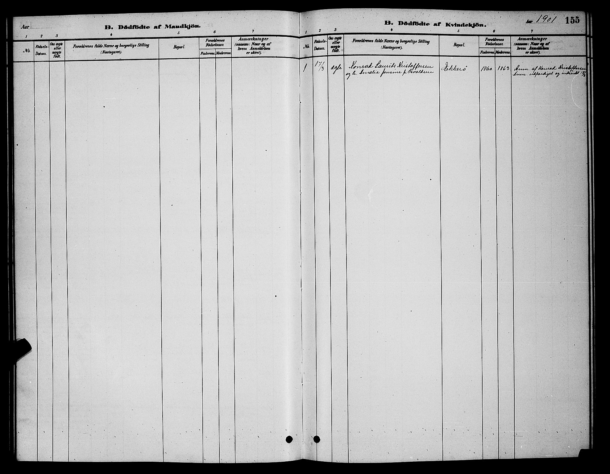 Vadsø sokneprestkontor, SATØ/S-1325/H/Hb/L0003klokker: Parish register (copy) no. 3, 1881-1901, p. 155