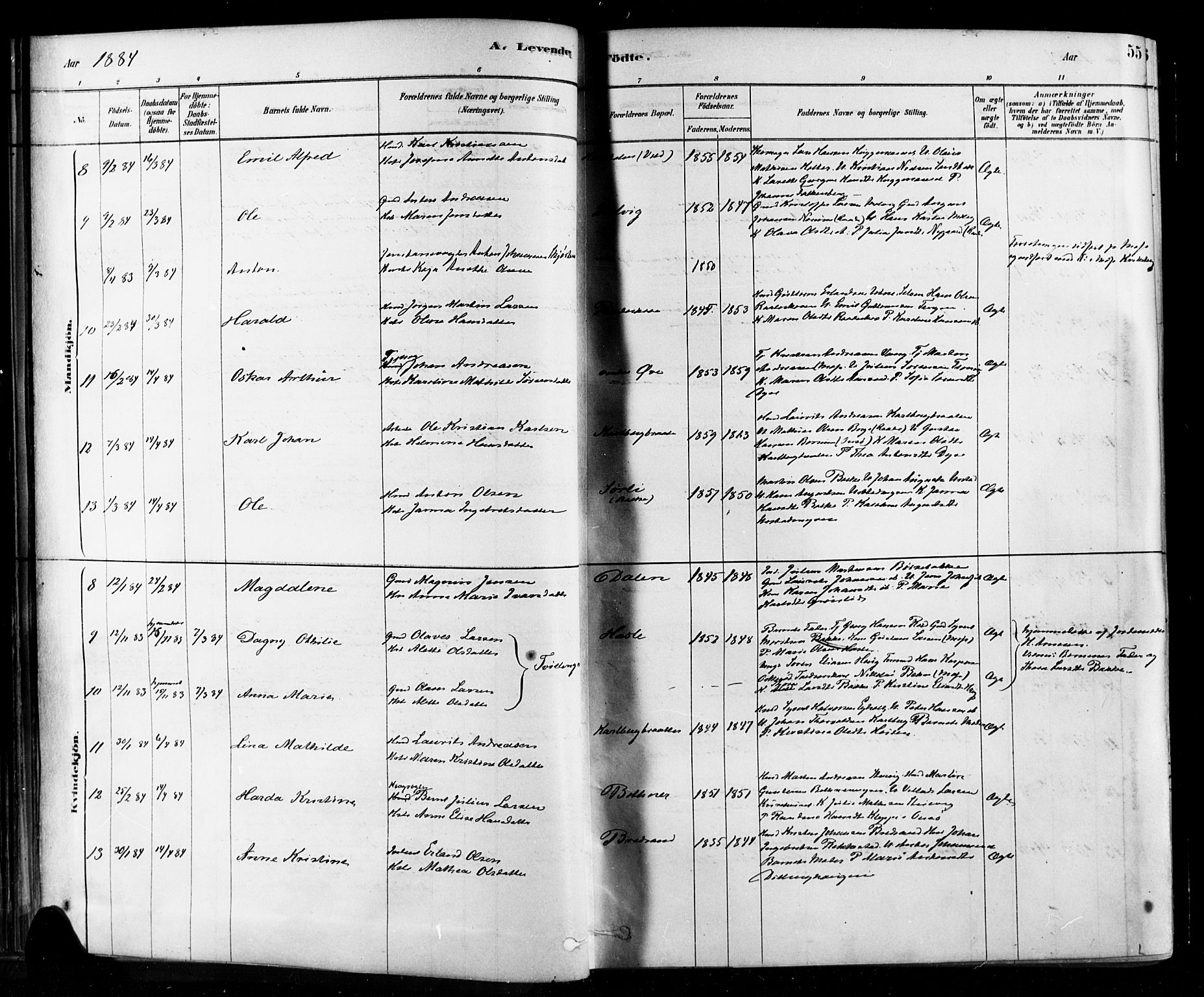 Rygge prestekontor Kirkebøker, SAO/A-10084b/F/Fa/L0007: Parish register (official) no. 7, 1878-1904, p. 55