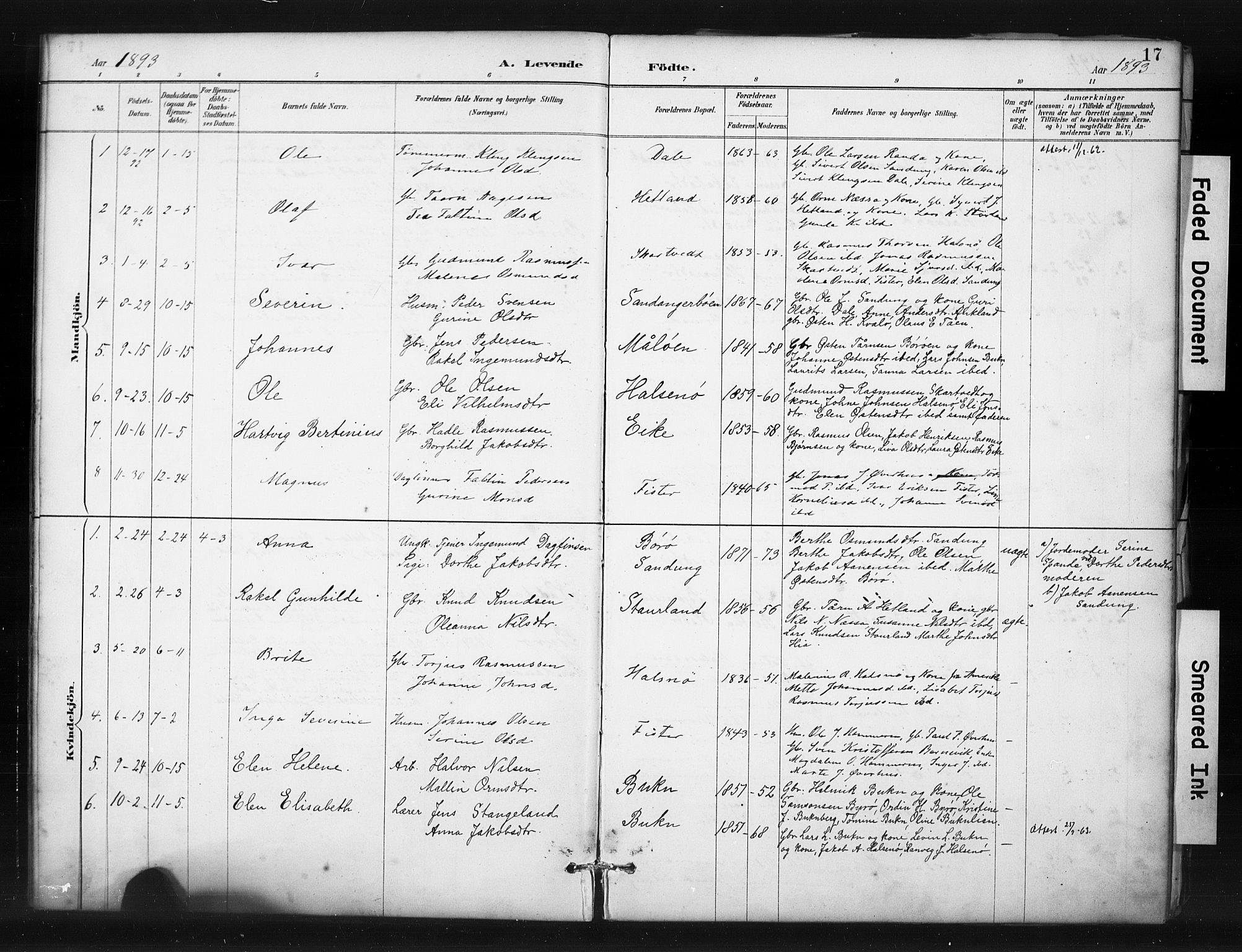 Hjelmeland sokneprestkontor, SAST/A-101843/01/IV/L0015: Parish register (official) no. A 15, 1887-1910, p. 17