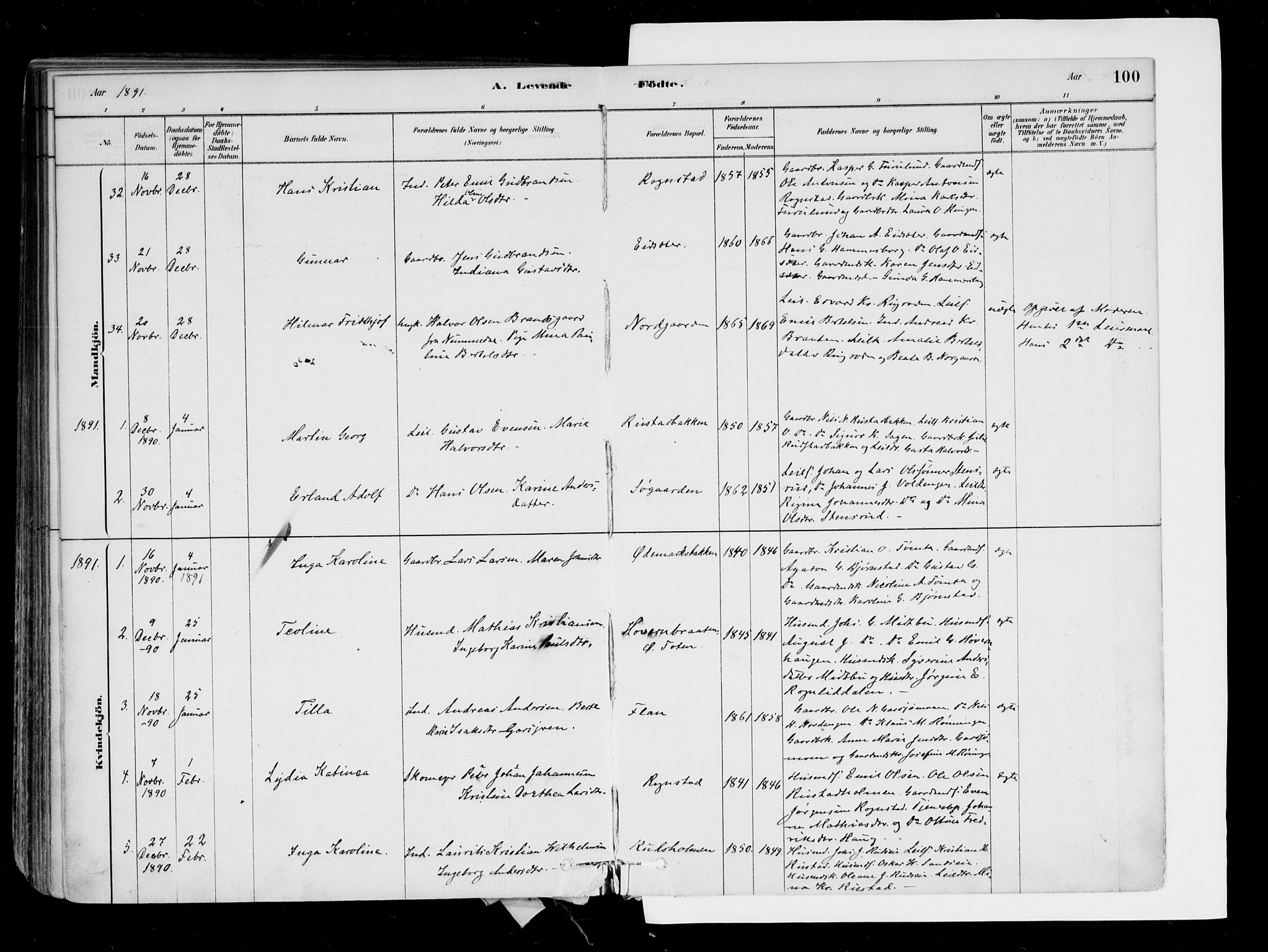 Hurdal prestekontor Kirkebøker, SAO/A-10889/F/Fa/L0007: Parish register (official) no. I 7, 1878-1906, p. 100