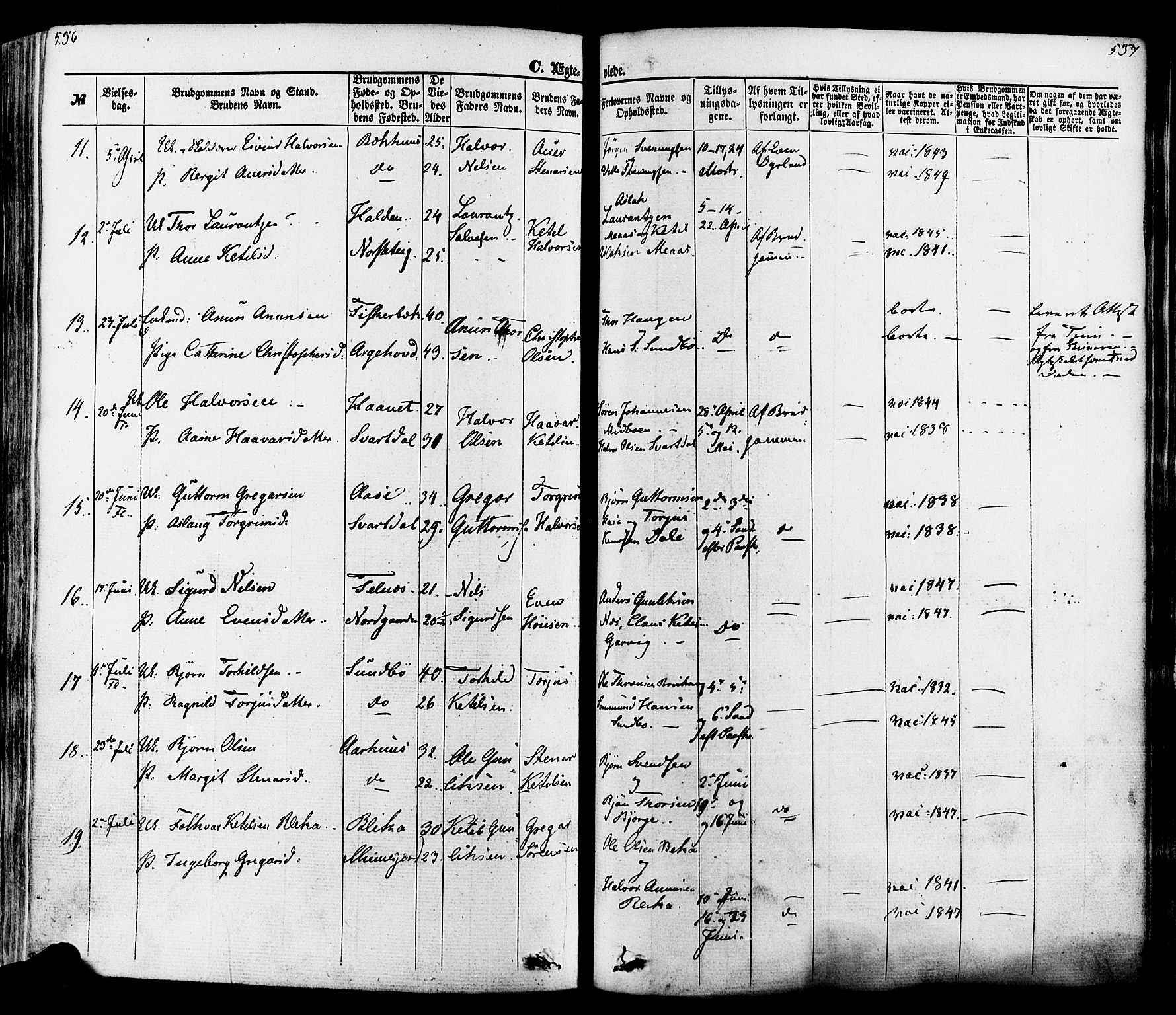 Seljord kirkebøker, SAKO/A-20/F/Fa/L0013: Parish register (official) no. I 13, 1866-1876, p. 536-537